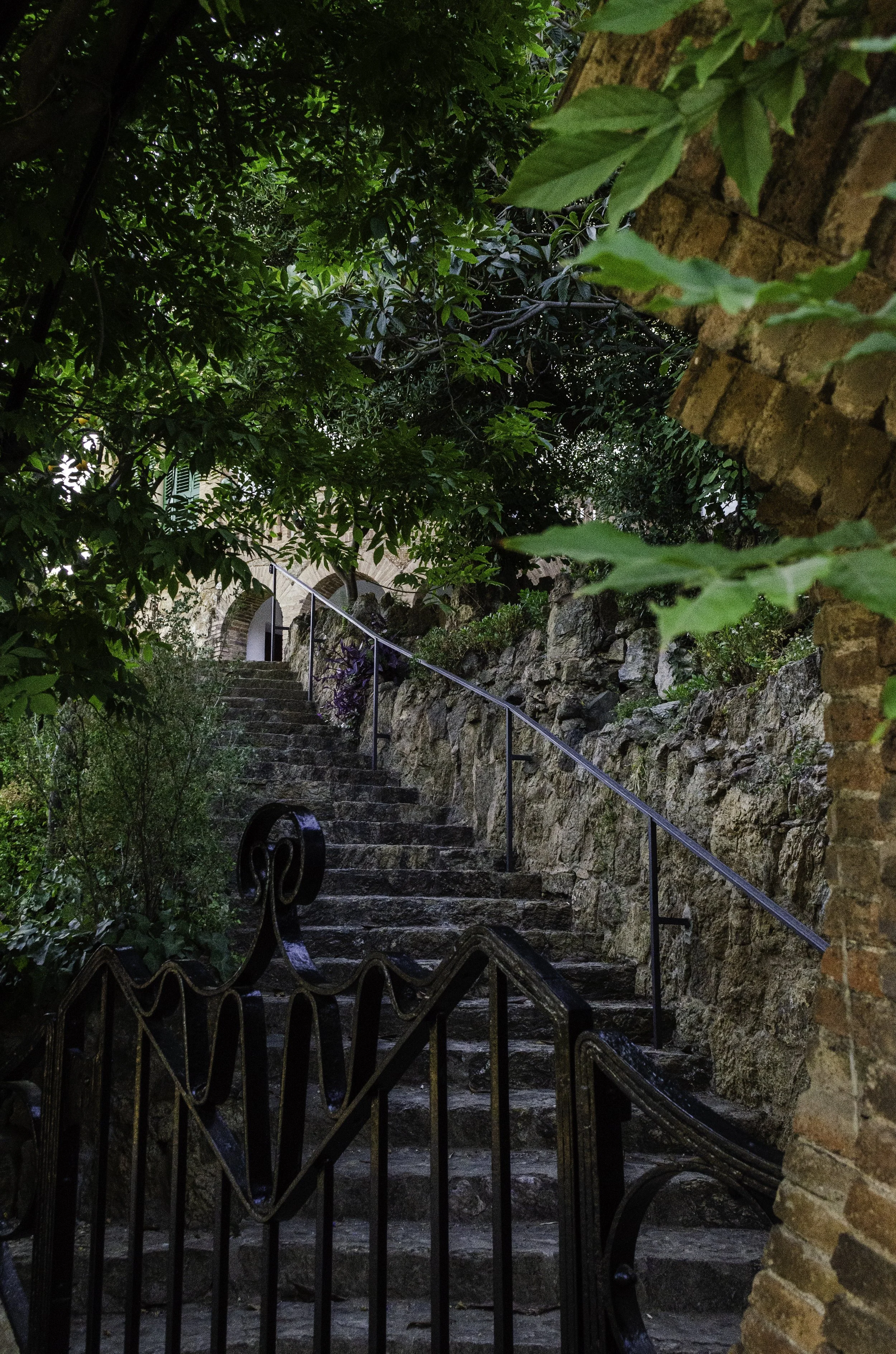 CRC_290625_GUELL (27 of 42).jpg