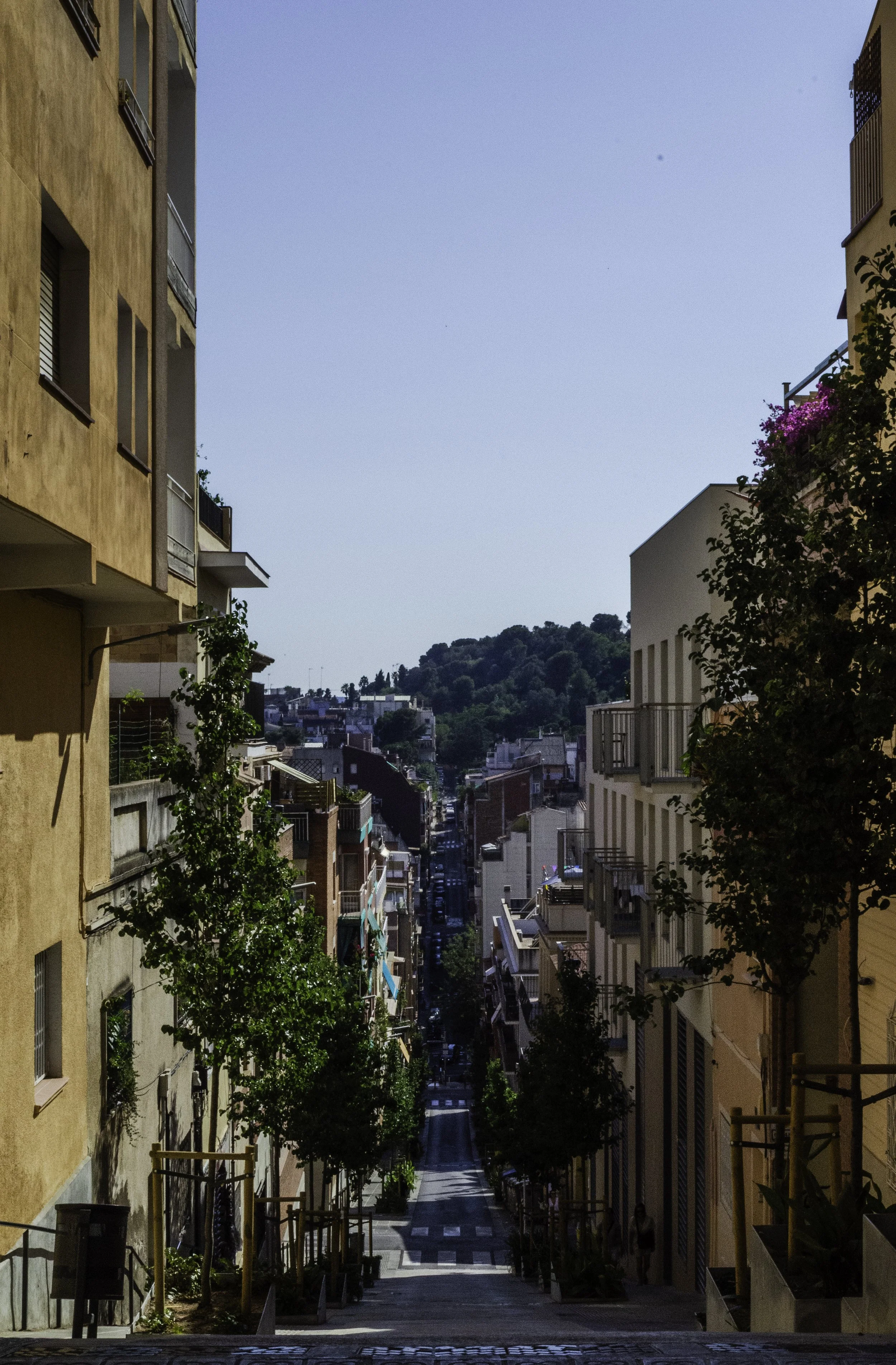 CRC_290625_GUELL (4 of 42).jpg