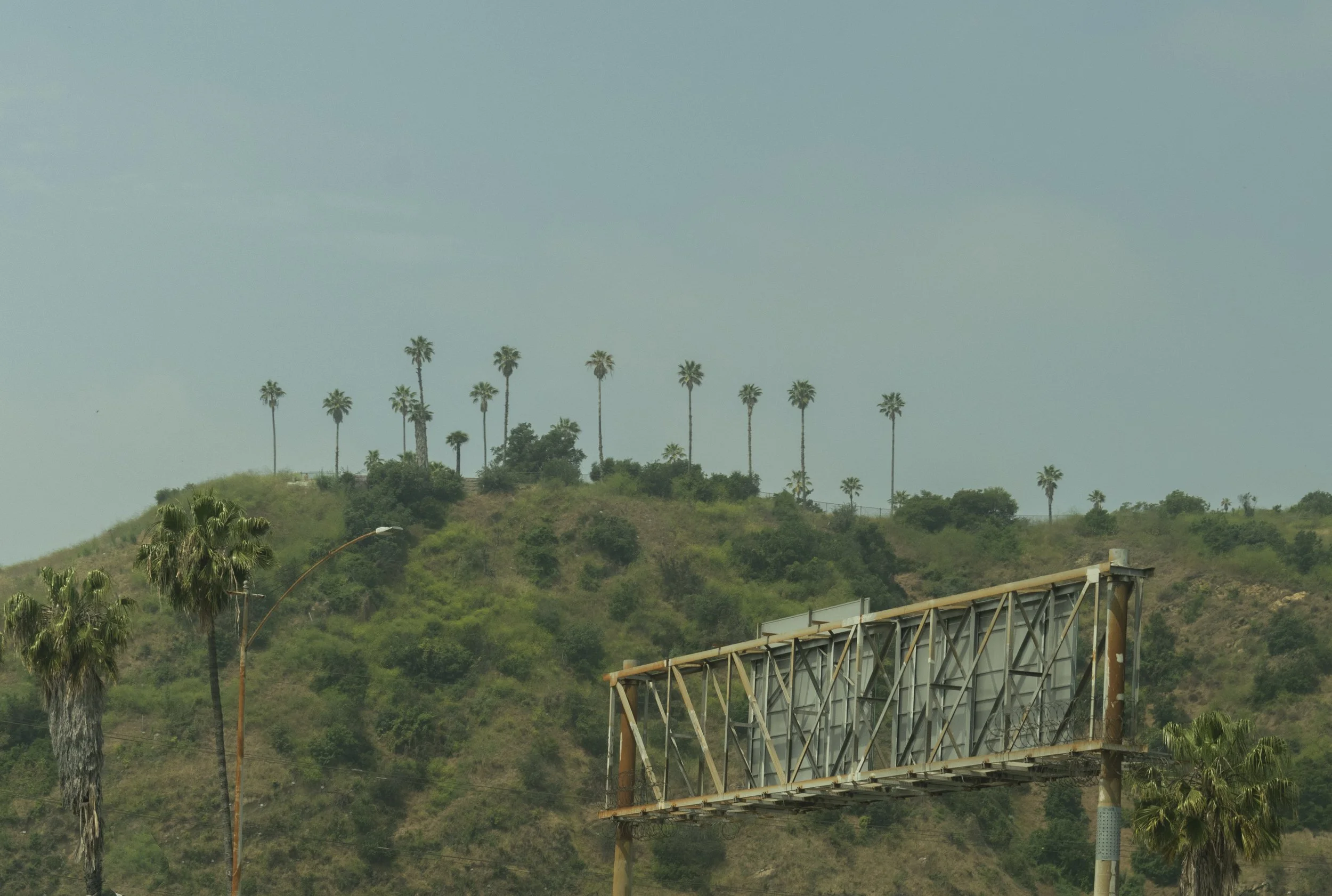 Cat Contreras-1 2.jpg