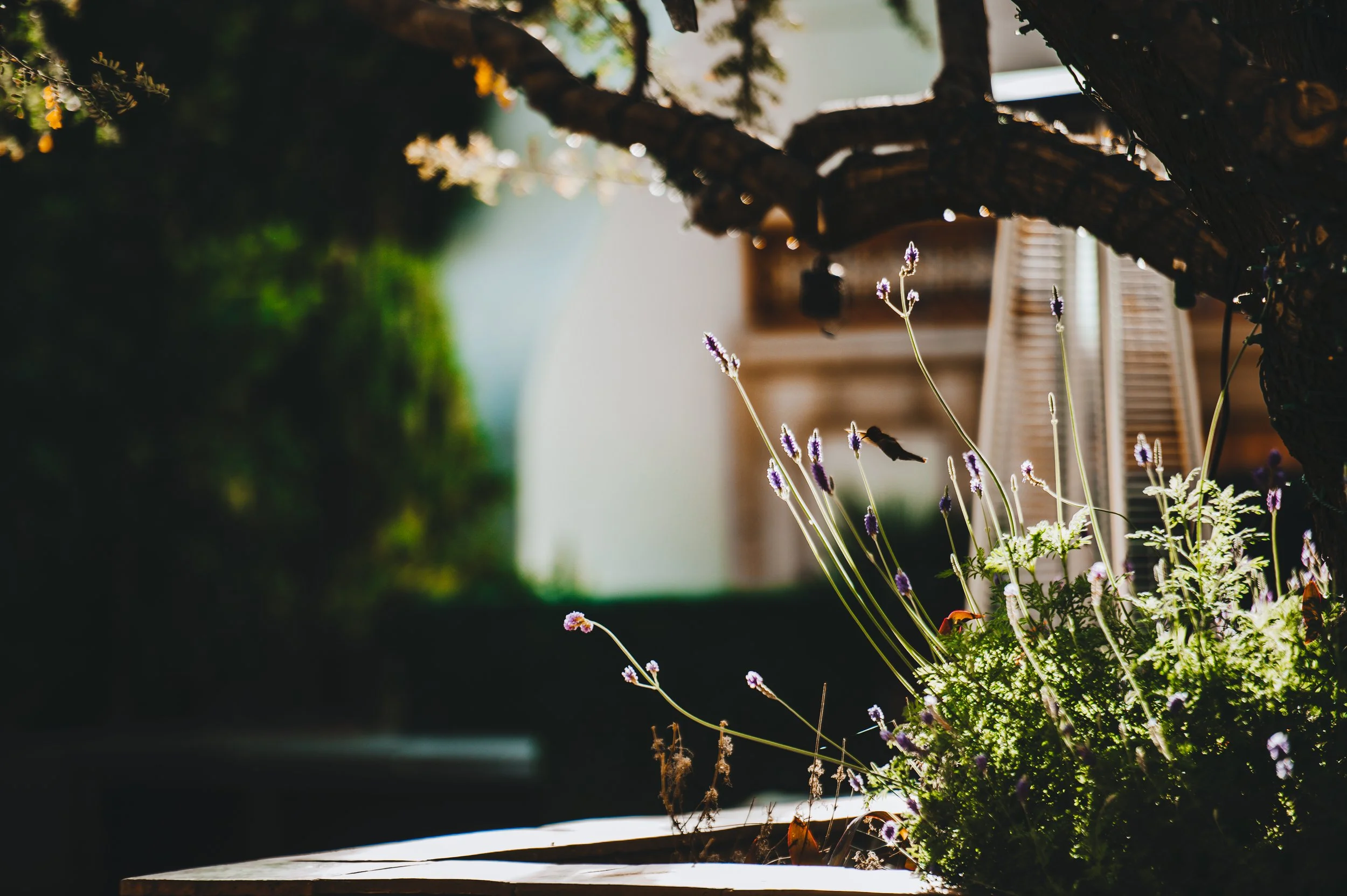 scottsdale resort & spa-3024.jpg