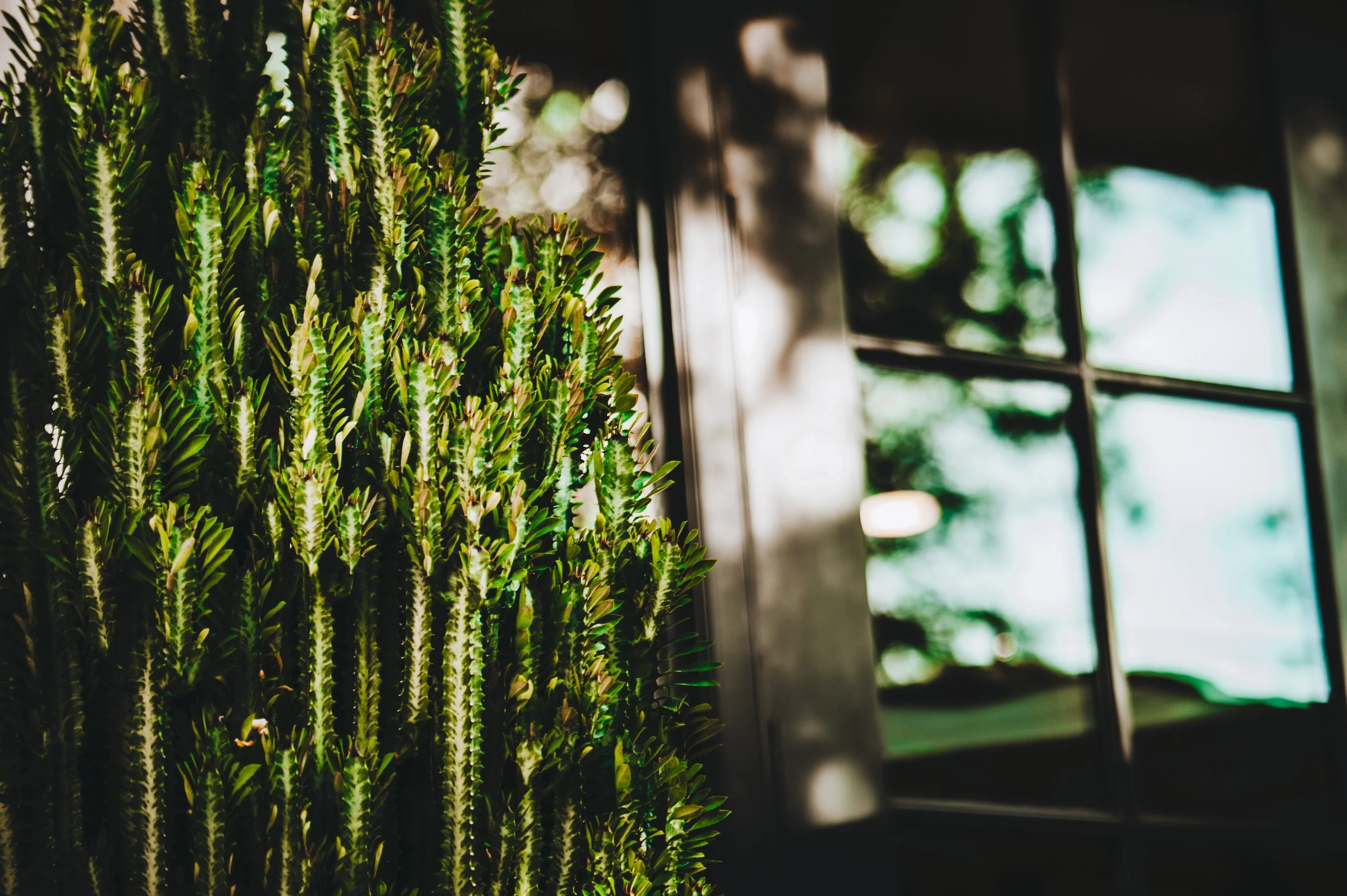 scottsdale resort & spa-3048.jpg