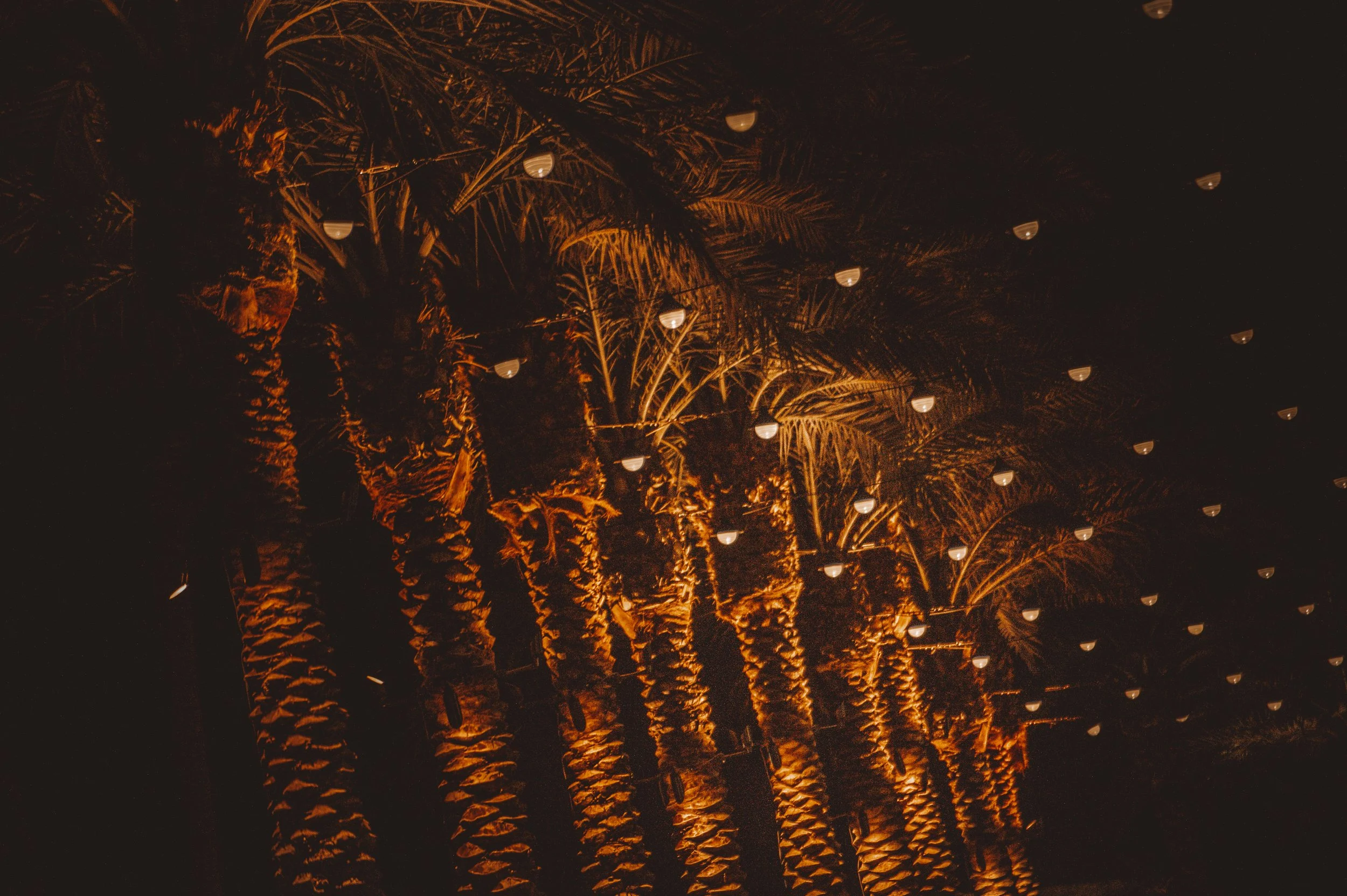 scottsdale resort & spa-3765.jpg