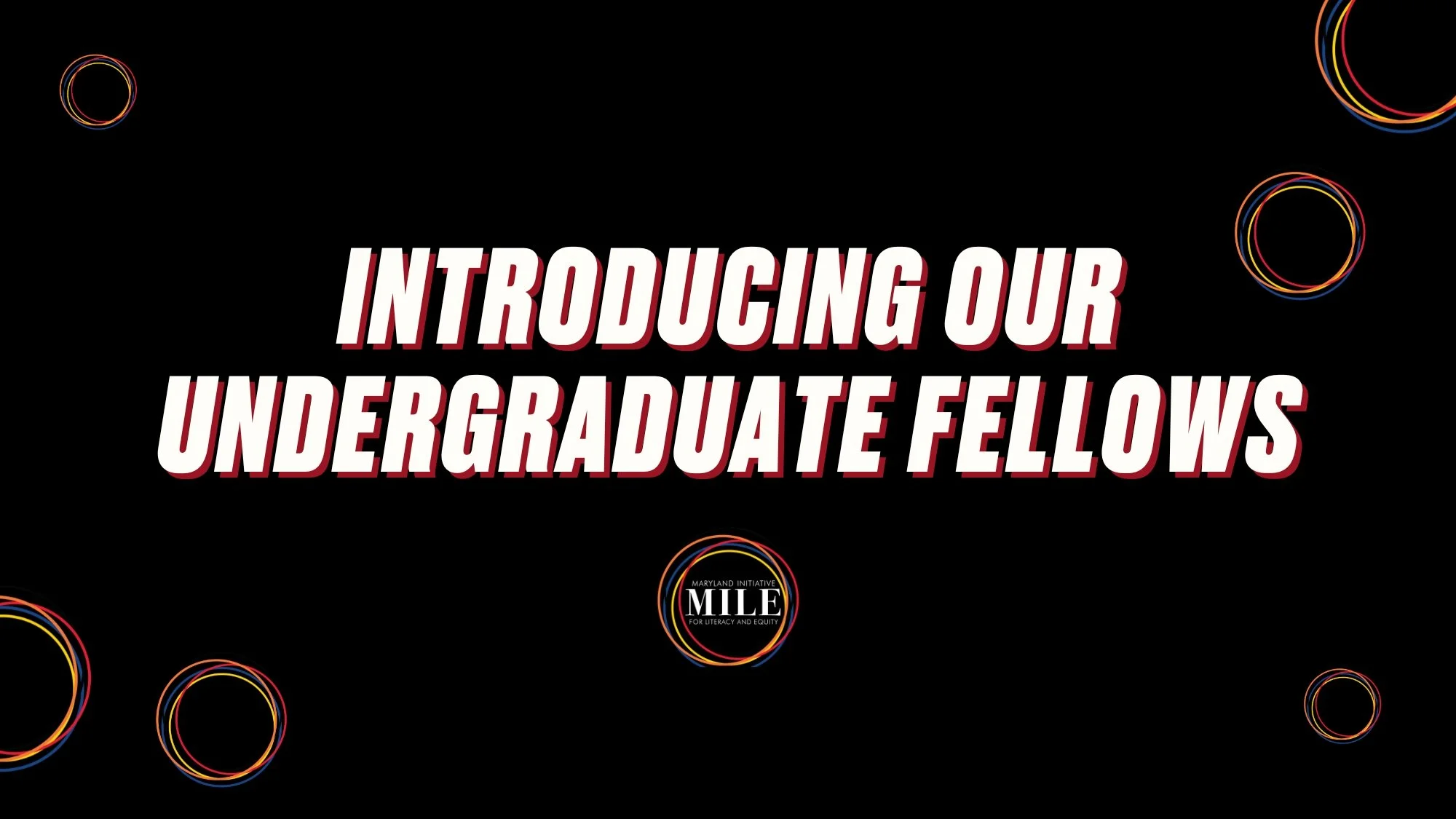 Introducing Our Undergraduate Fellows