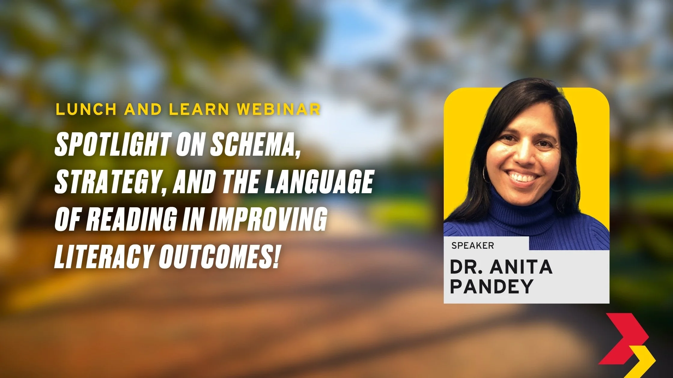 Spotlight on Schema, Strategy, and the Language of Reading in Improving Literacy Outcomes!