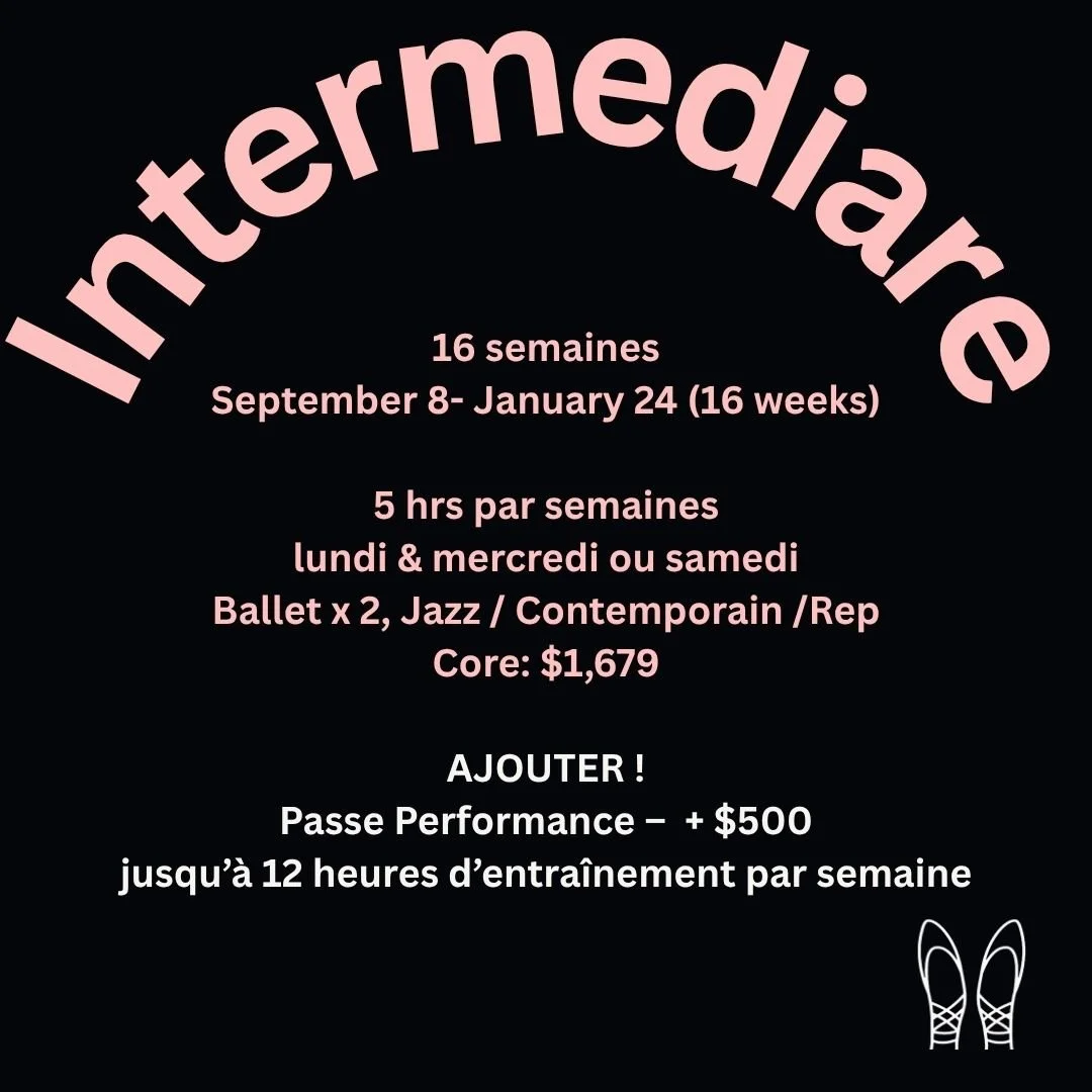 Intermediare PP.jpg