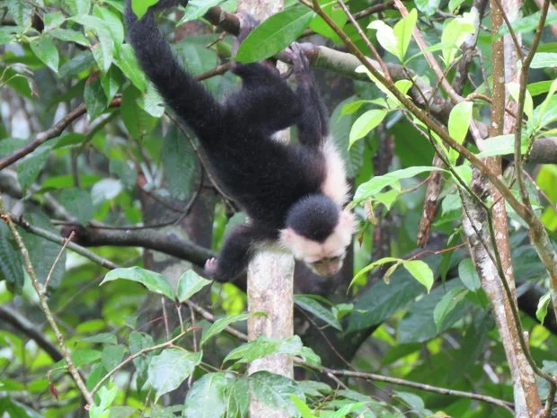 looking inside out &amp; upside down