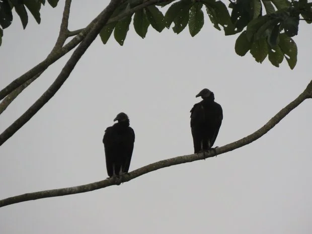 different perspectives