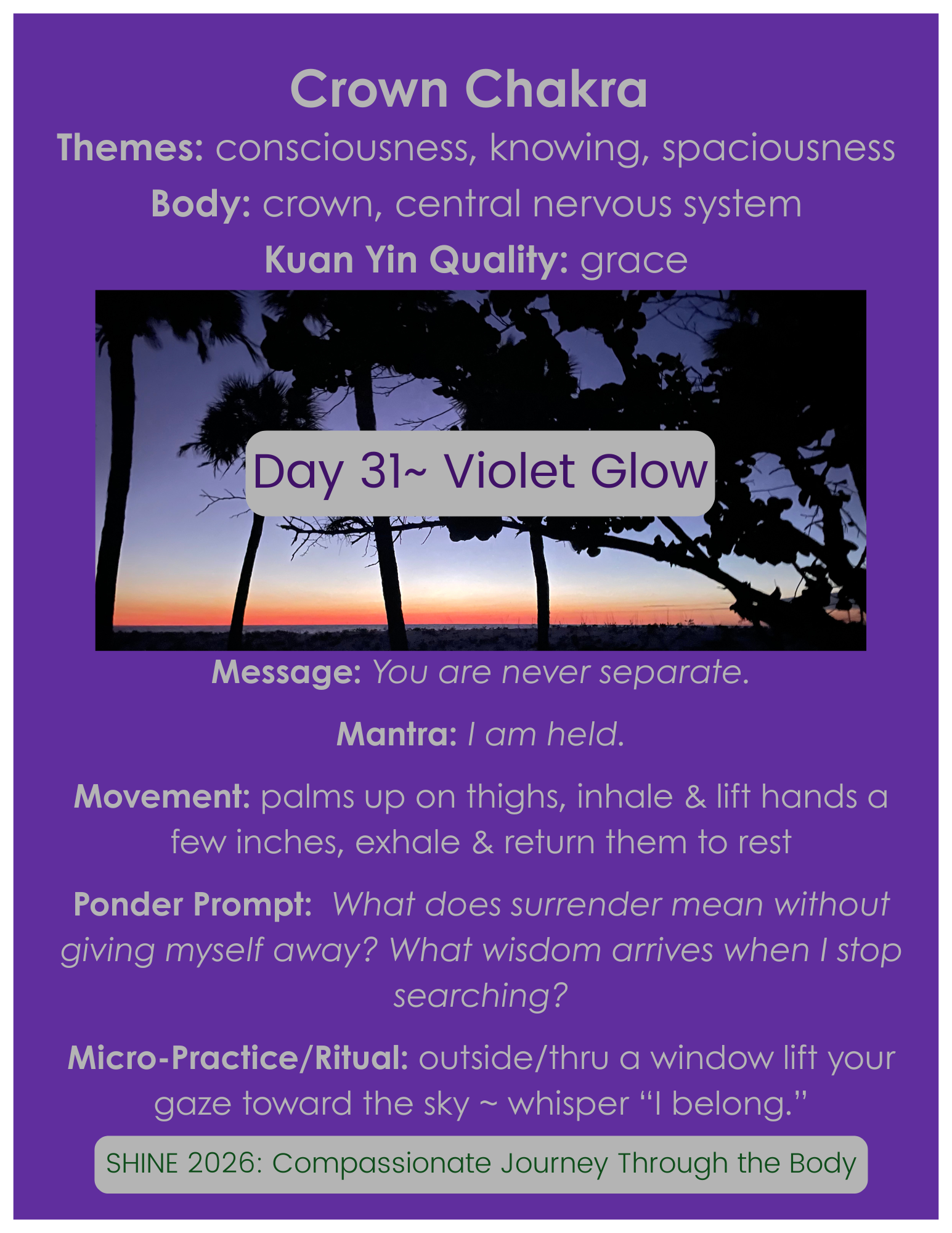 Day 31 ~ Violet Glow