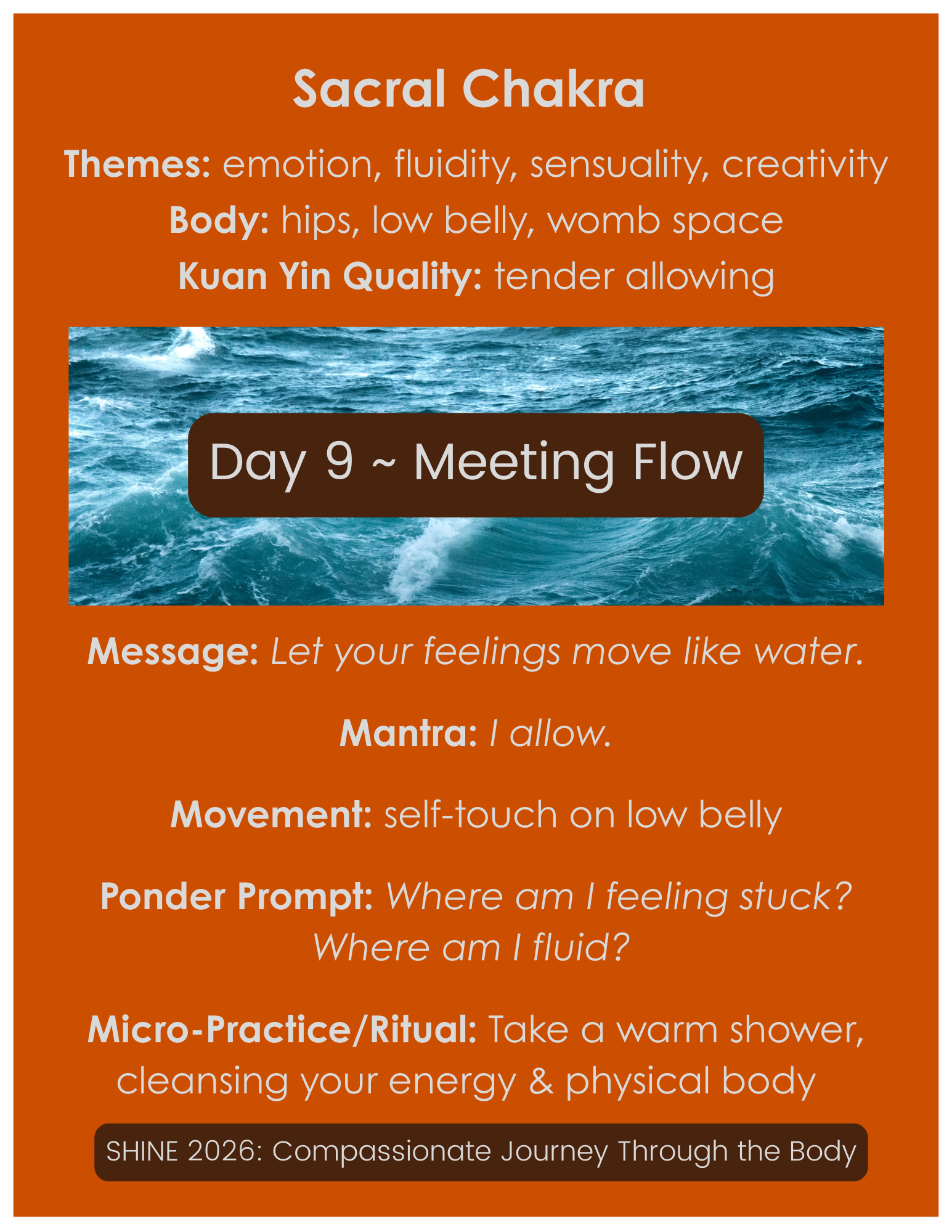 Meeting Flow.png