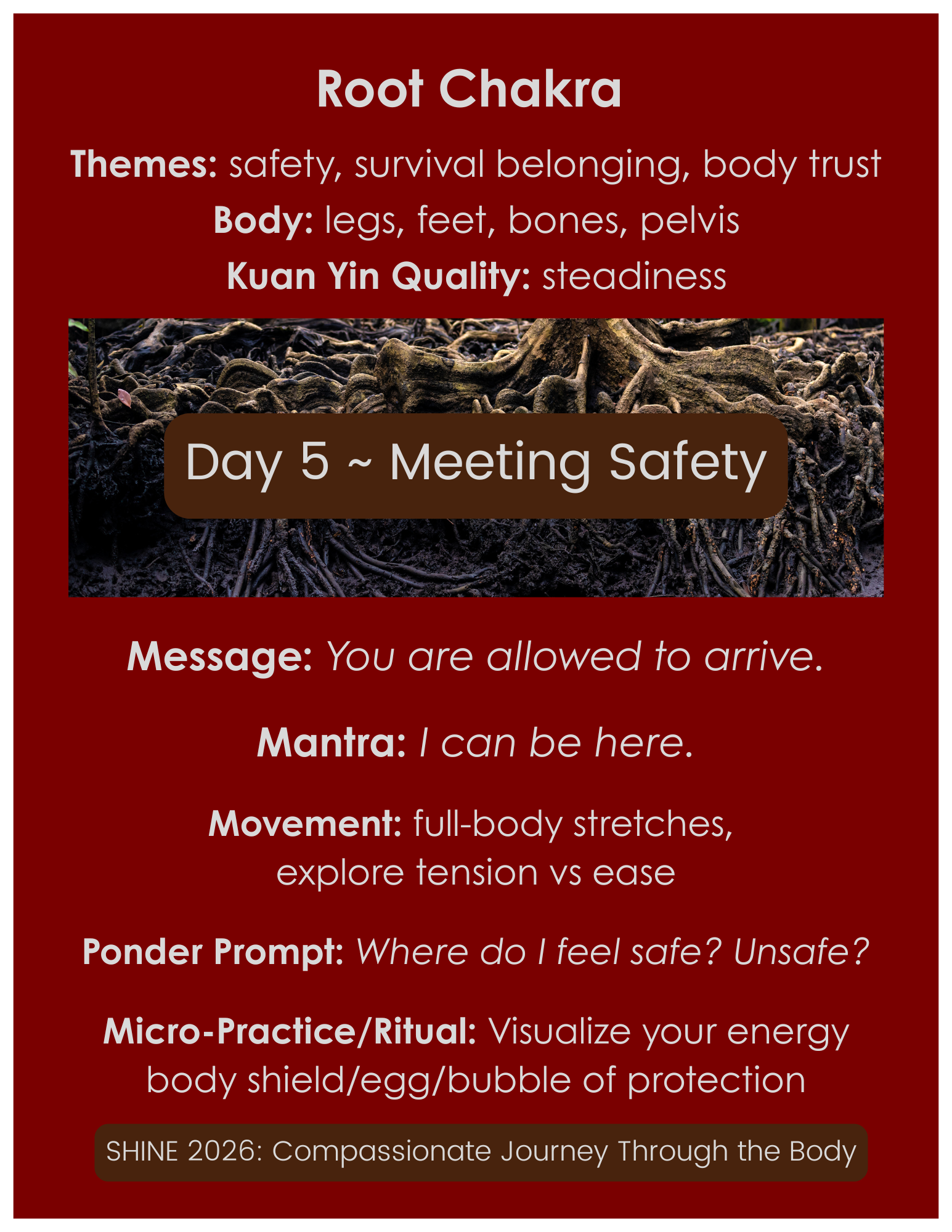 Day 5 Meeting Safety (1).png