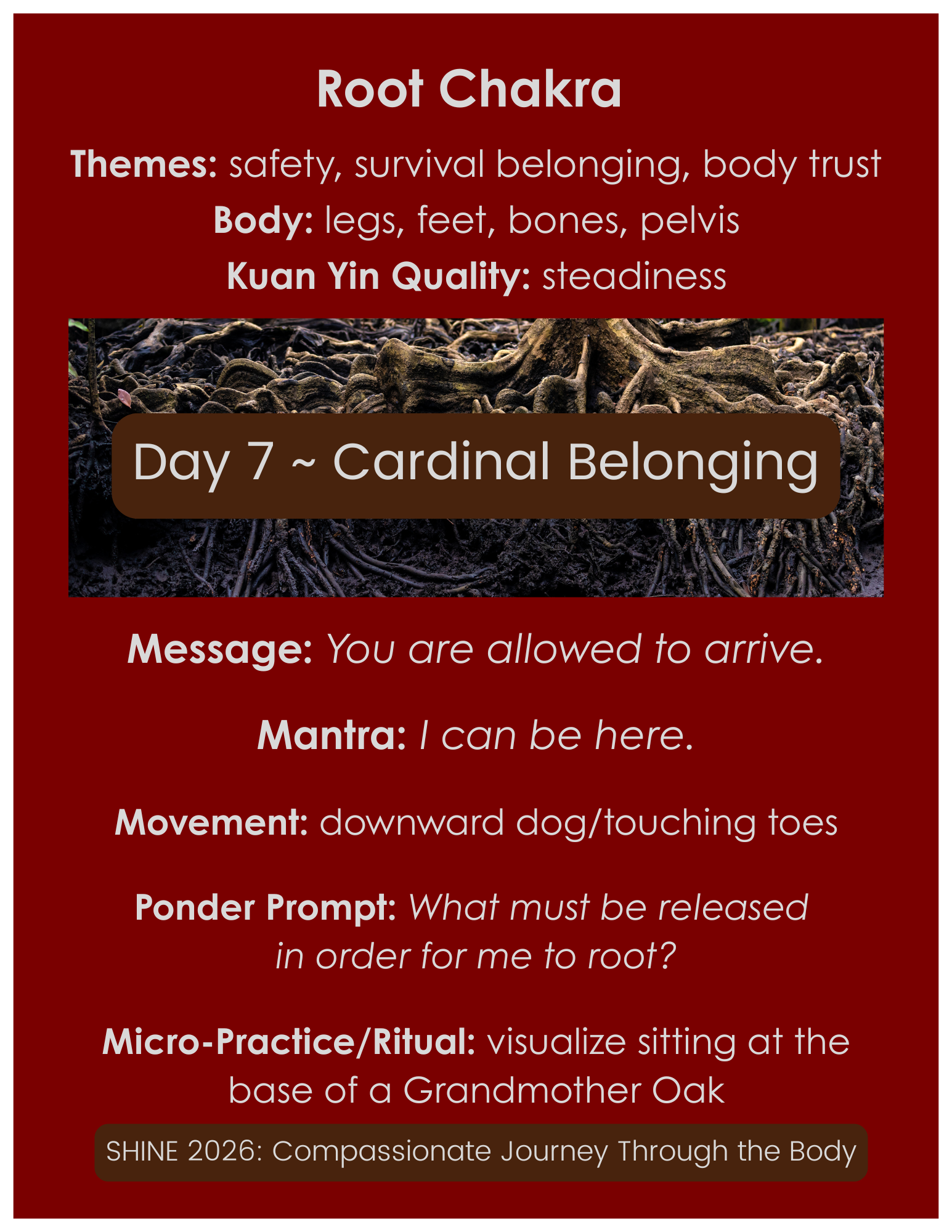 Cardinal Belonging (1).png