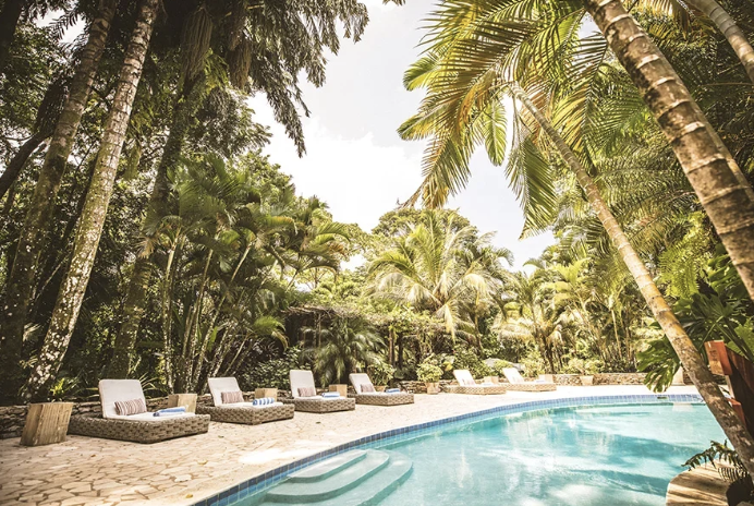 Swimming pool surrounded by tropical palm trees and lounge chairs in a lush garden setting.