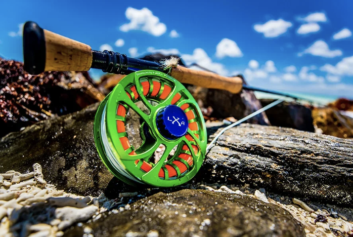 A fishing reel with a green frame and blue center, resting on rocks at the beach with a fishing rod in the background, under a partly cloudy sky.