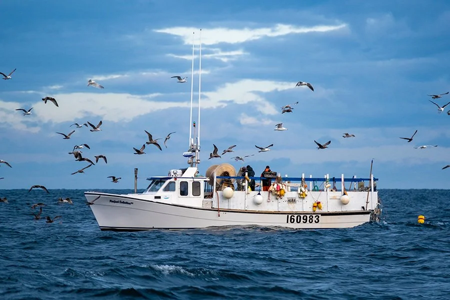 A white fishing boat on the water with seagulls flying overhead under a partly cloudy sky.