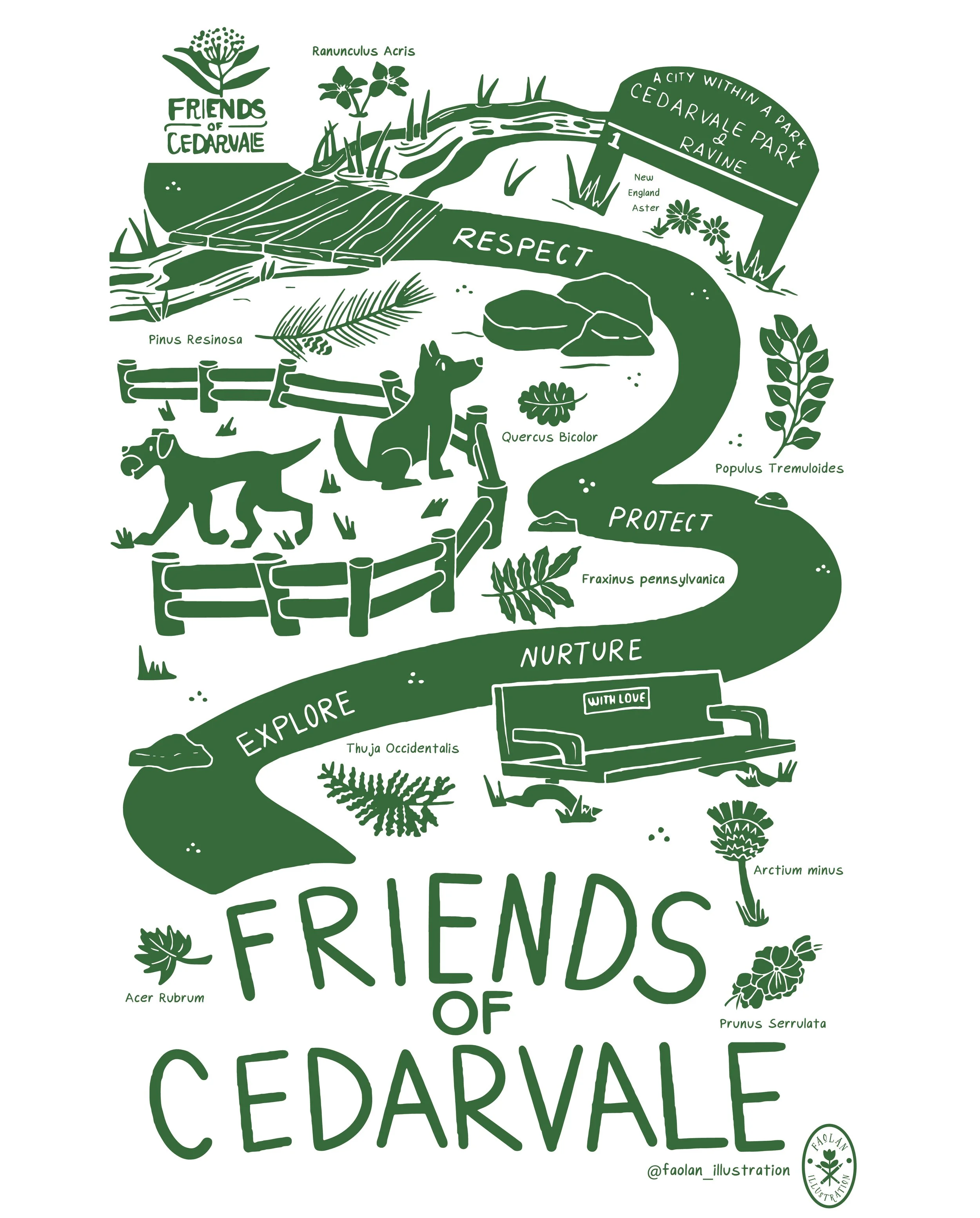 Friends of Cedarvale T-Shirt Experience.