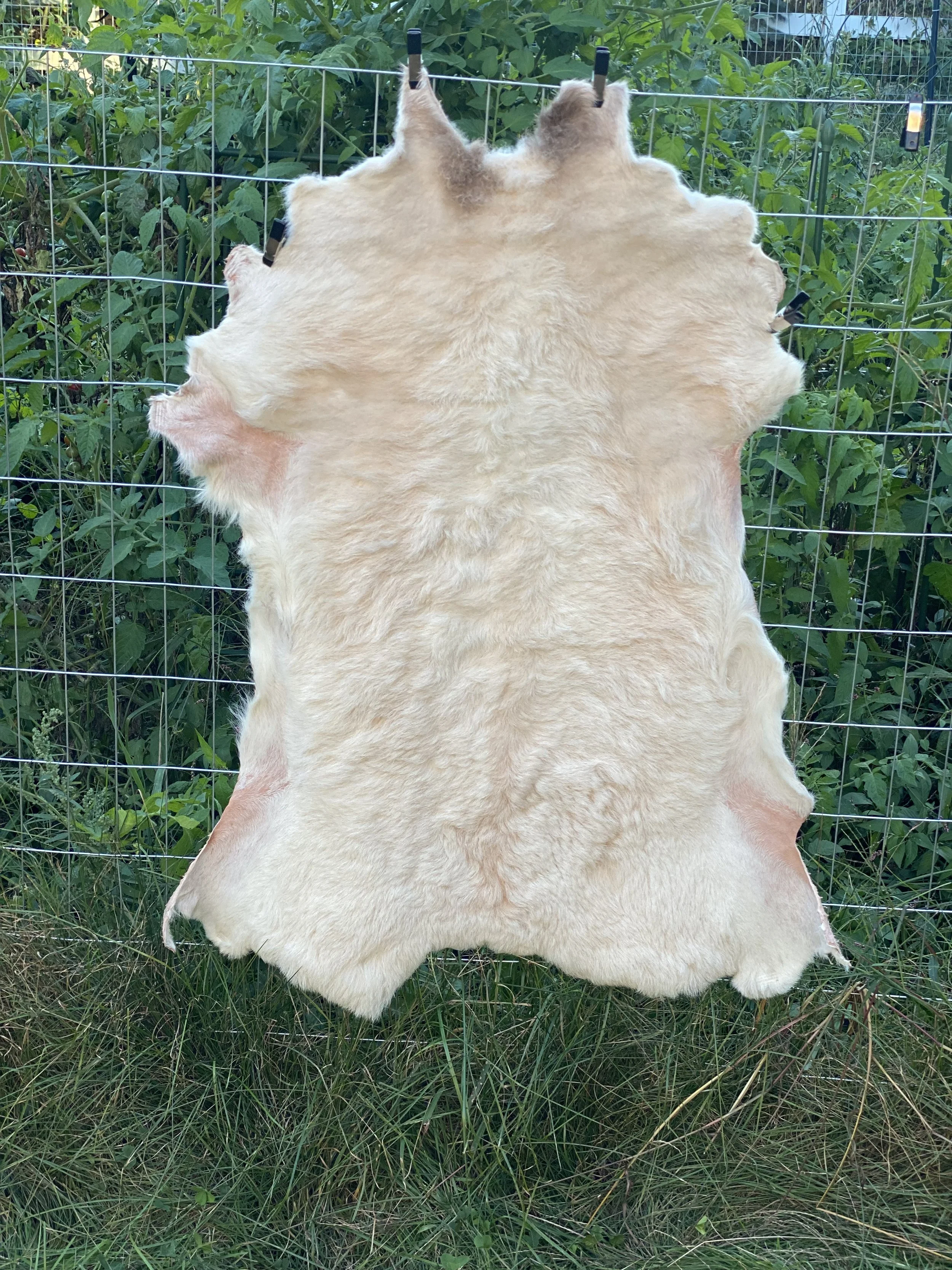 White and Brown Lamb Skin