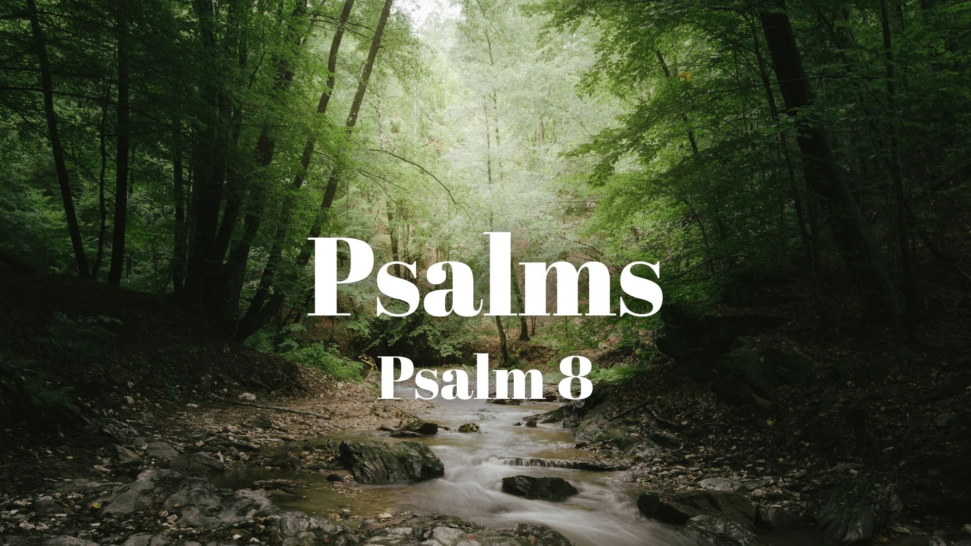Psalms