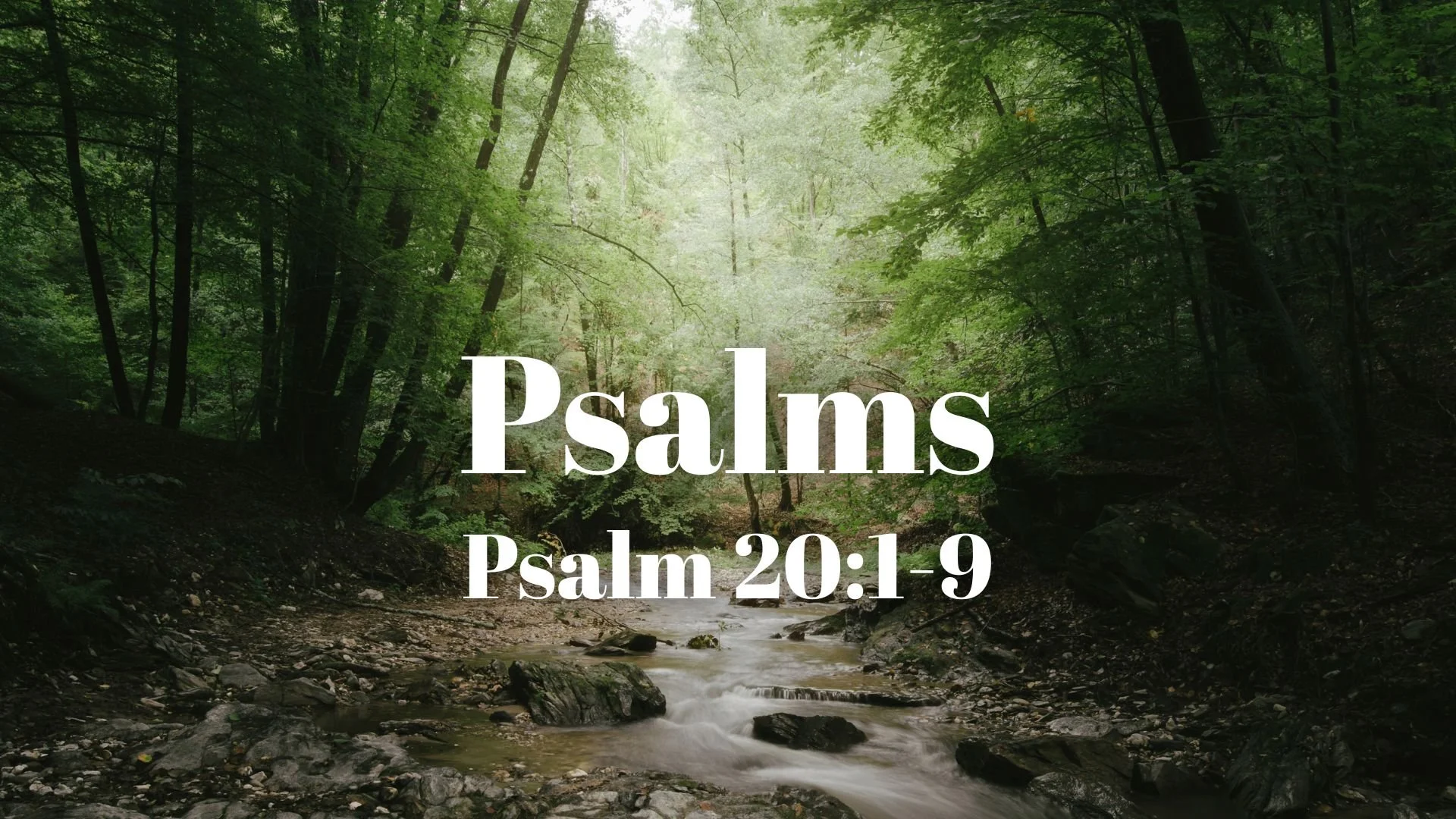 Psalms