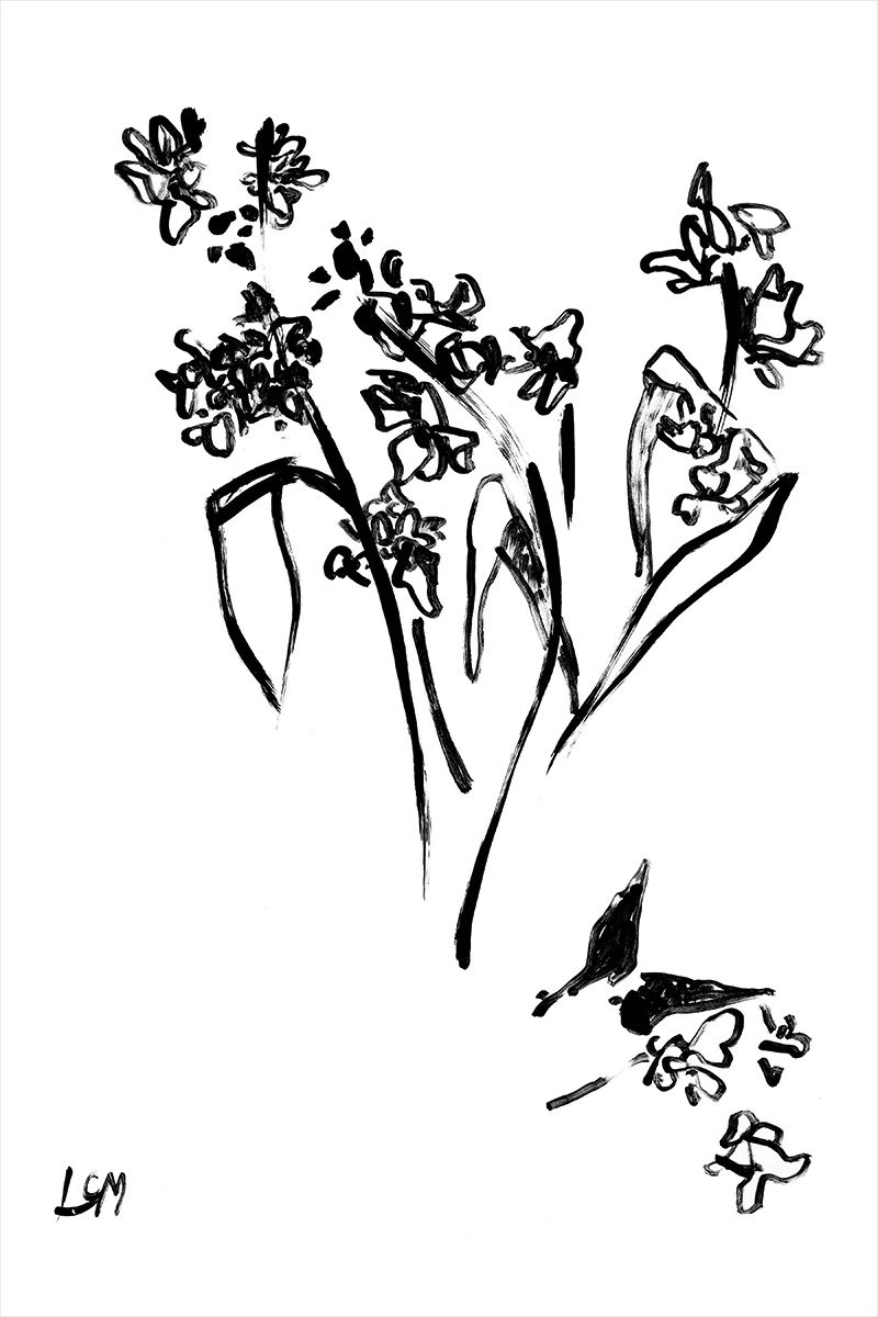 Hyacinth by Lynne Millar (Juniper Print Shop)
