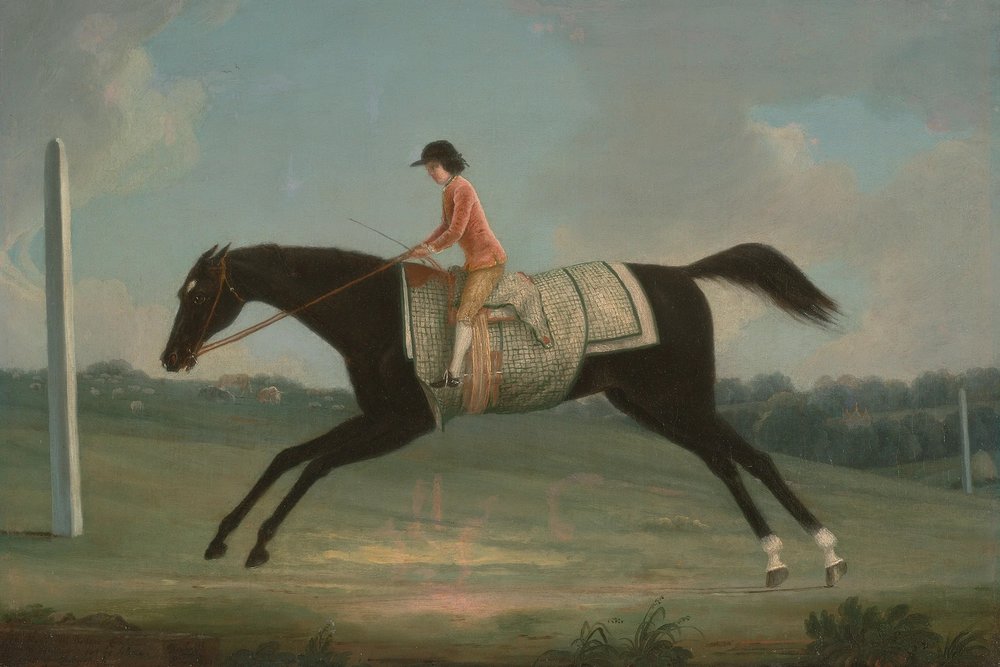 Girl Riding Horse (BFF Print Shop)