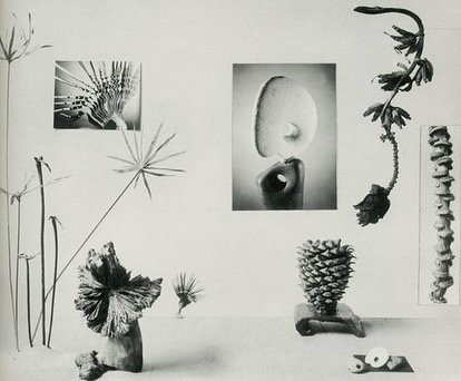 &lsquo;New Horizons in Flower Arrangement&rsquo; by Myra J Brooks, 1961

Thinking about different heights and dimension, textures, shapes and space composed together. Love the dangling stars.

#flowerarrangement #flowerarrangements #flowerarranging #