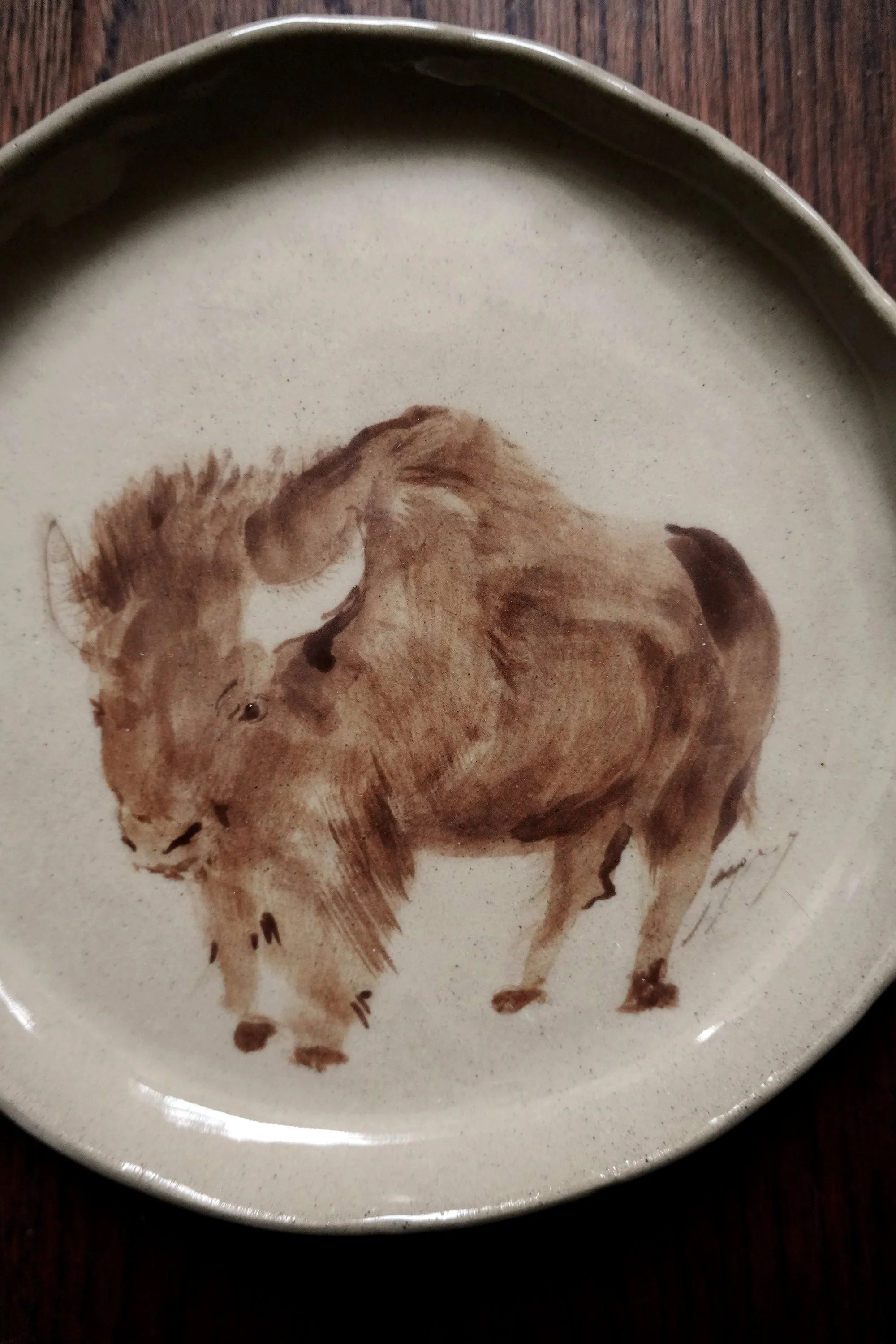 Bison Plate by Curious Common.jpg