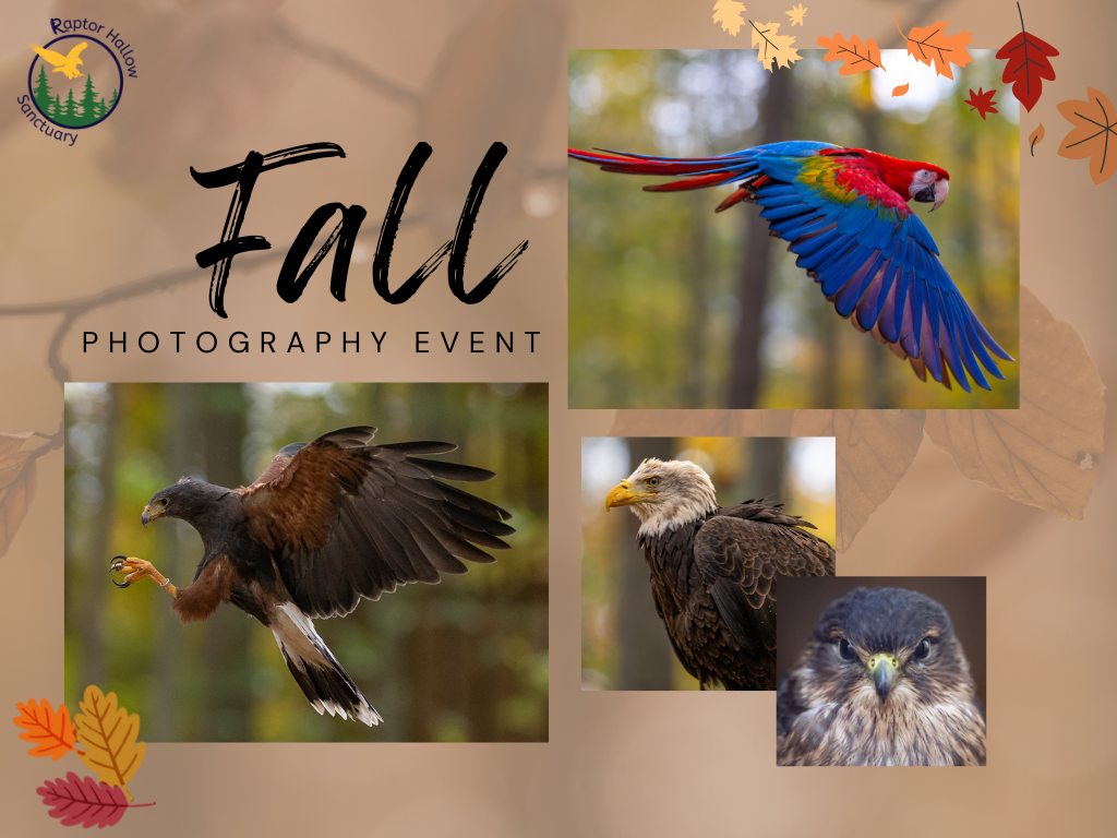 Fall Photography Event