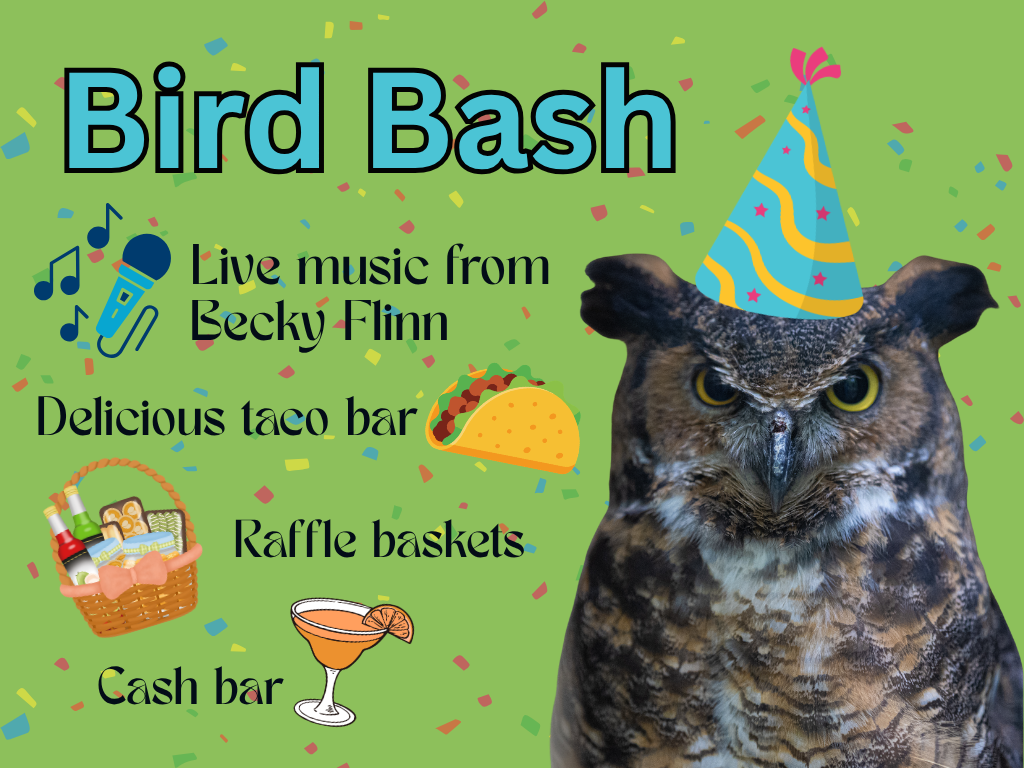 Bird Bash