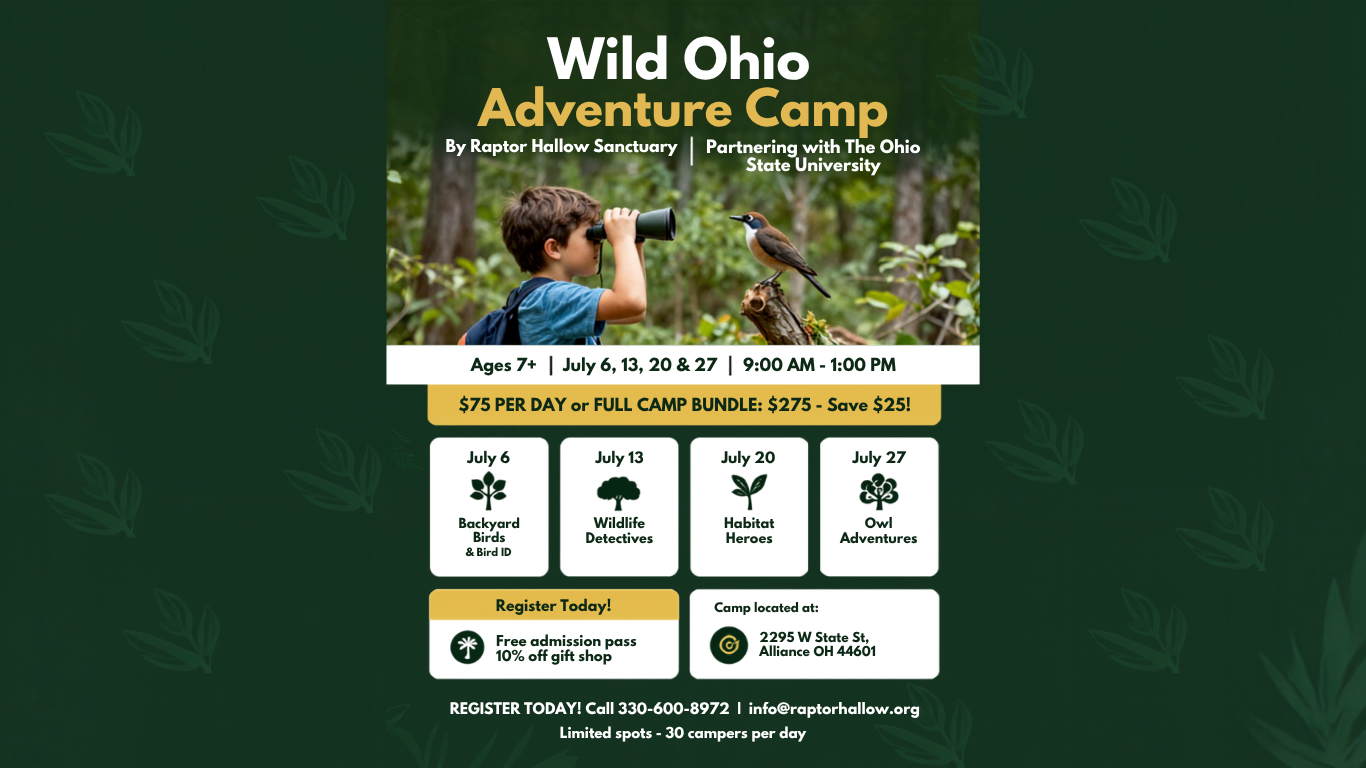 Wild Ohio Adventure Camp 