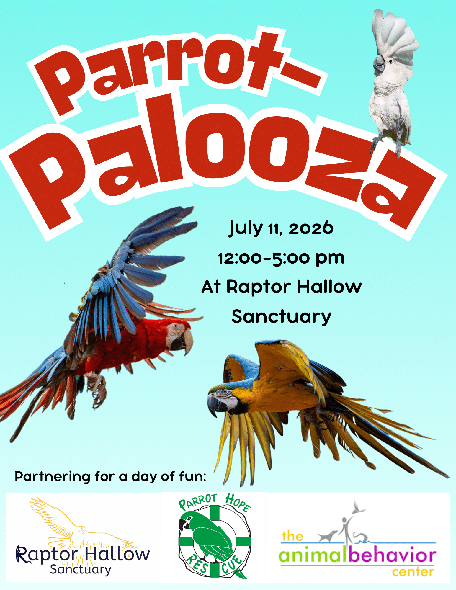 Parrot Palooza