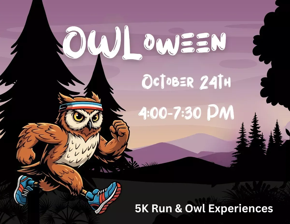 Owl-o-ween