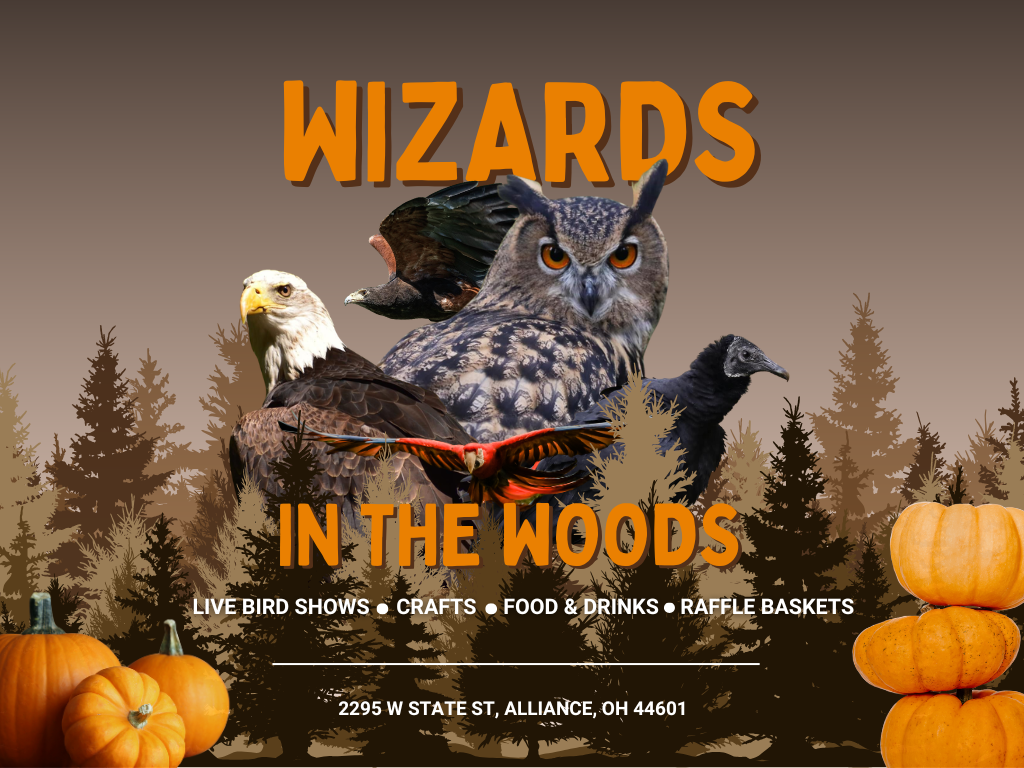 Wizards in the Woods