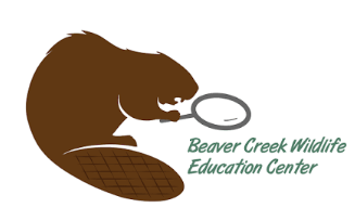 Beaver Creek Partner Day
