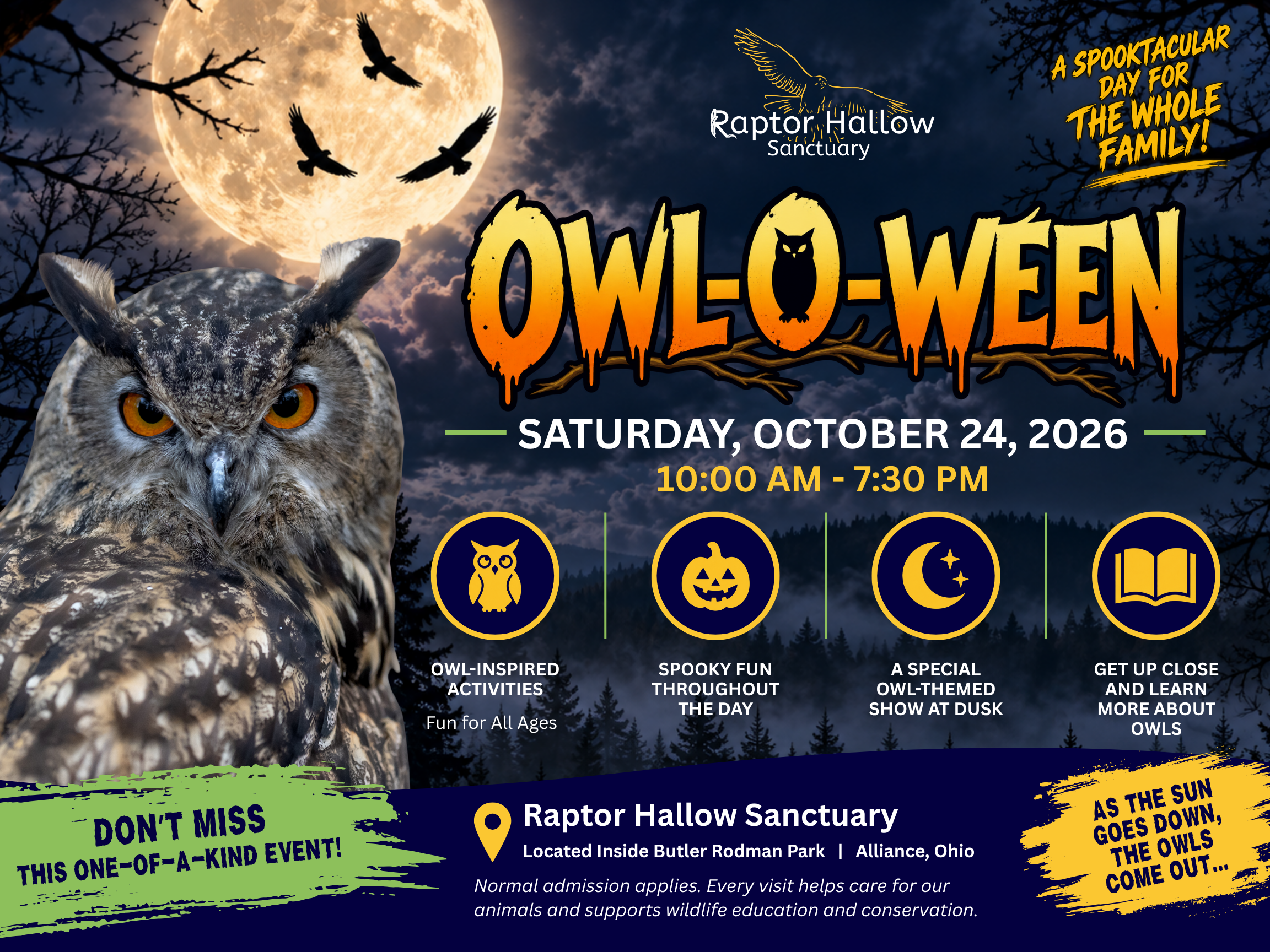 Owl-o-ween
