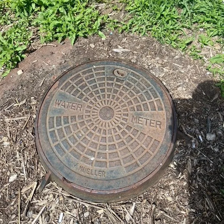 06C69313-84EA-4389-BF38-C1E3514C35C5_1_105_c.jpg