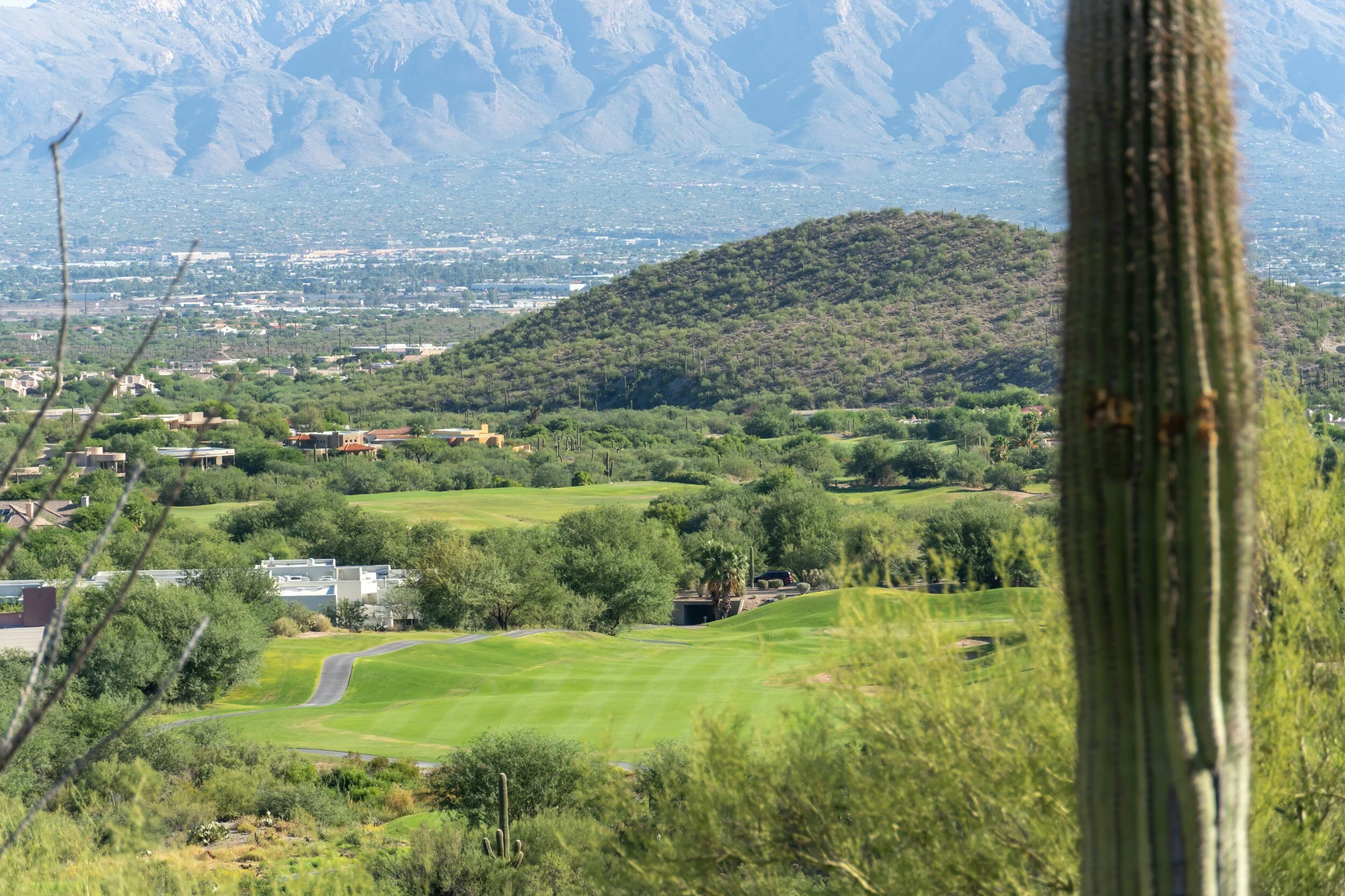 Scenic view of a desert landscape with cacti, green vegetation, a golf course, rolling hills, and distant mountains under a blue sky.