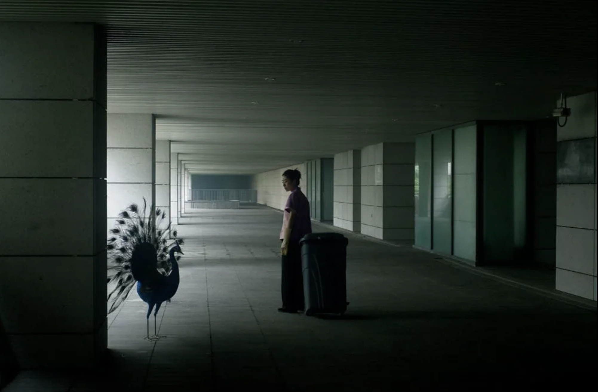 Cao Fei, Haze and Fog, 2013, video / 46mins 30secs