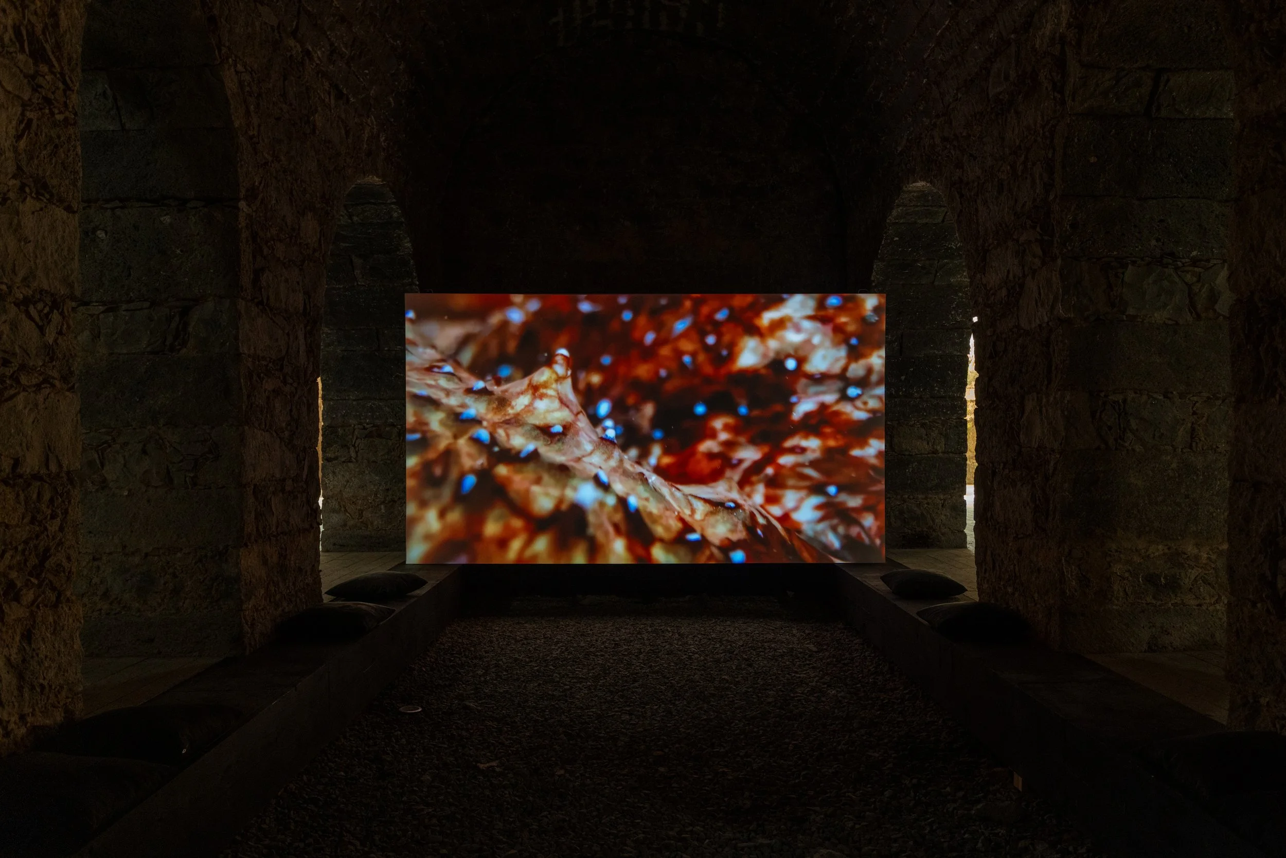 Jane Jin Kaisen, Portal, 2024. © Mariana Lopes.