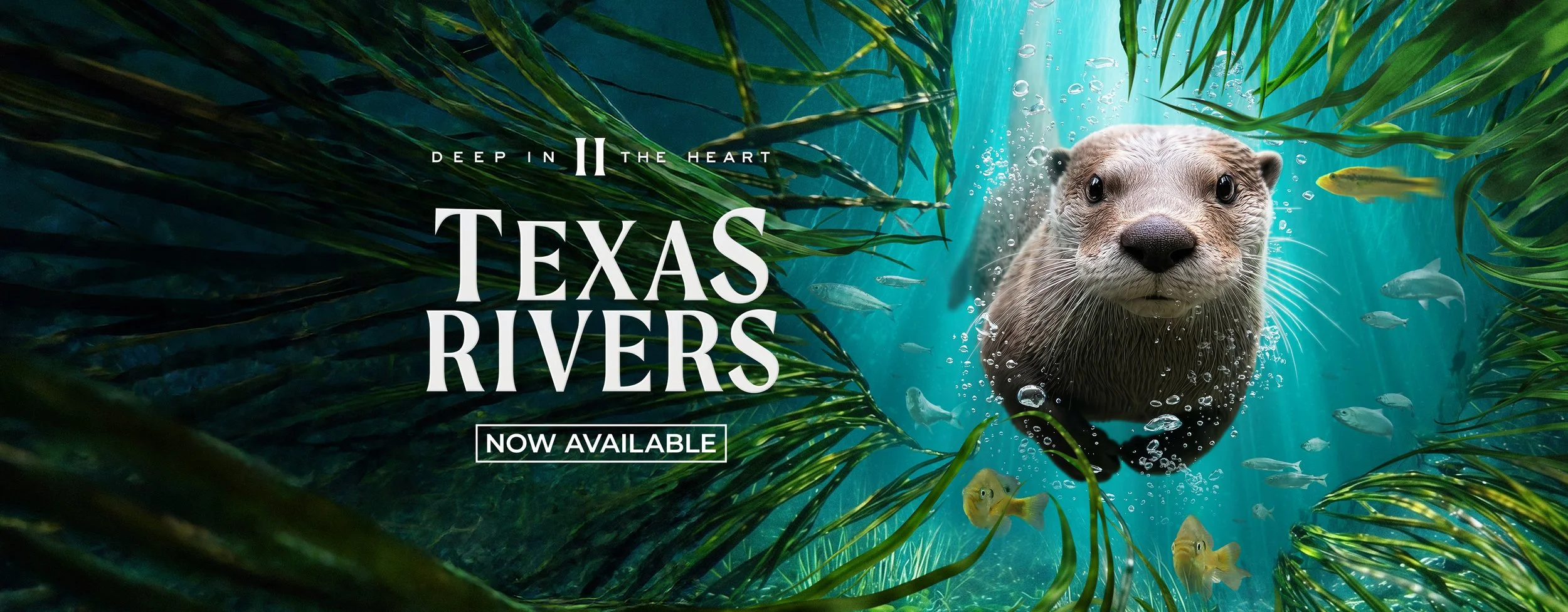 Deep in the Heart 2: Texas Rivers