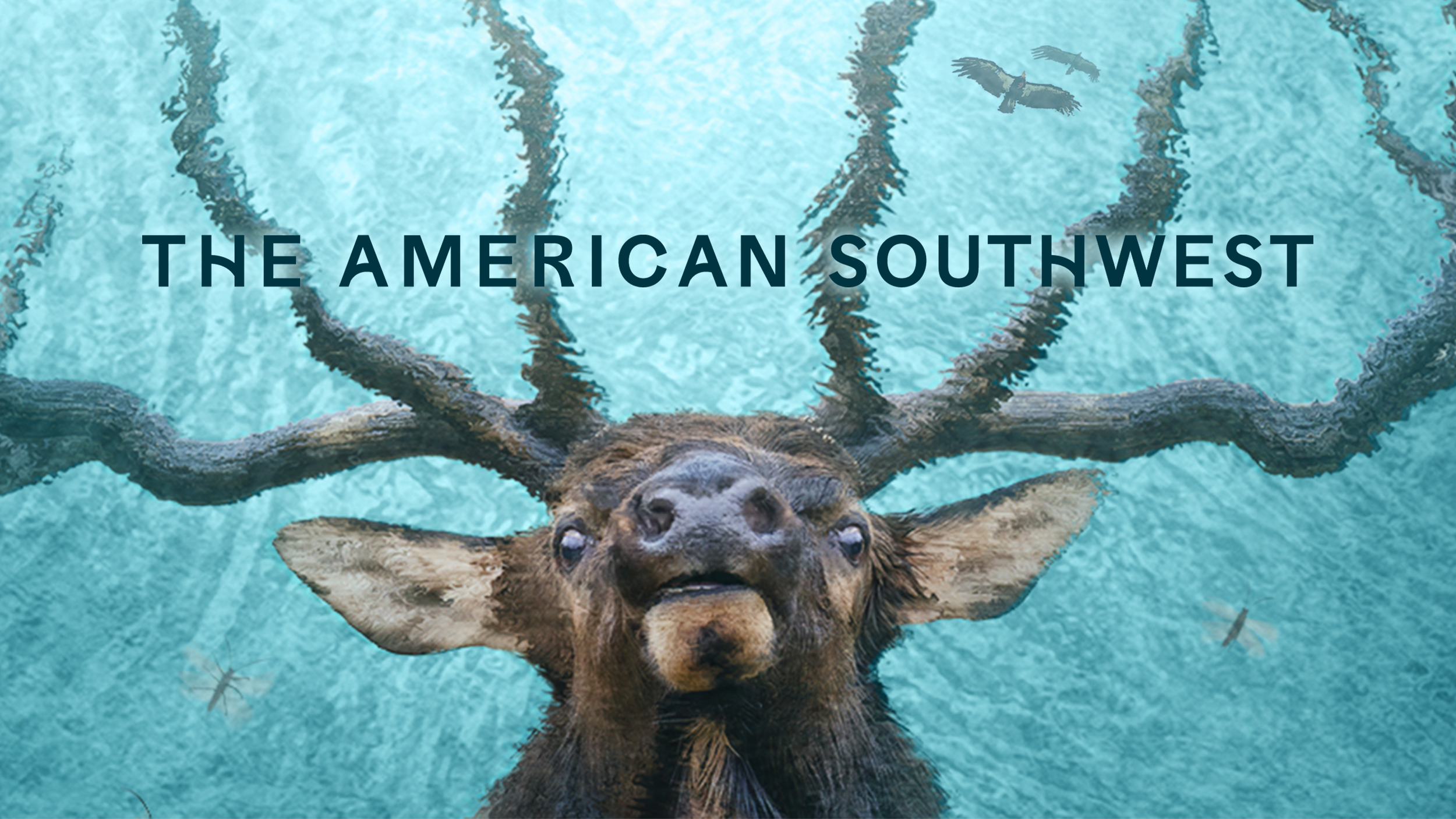 The American Southwest - Giant Pictures