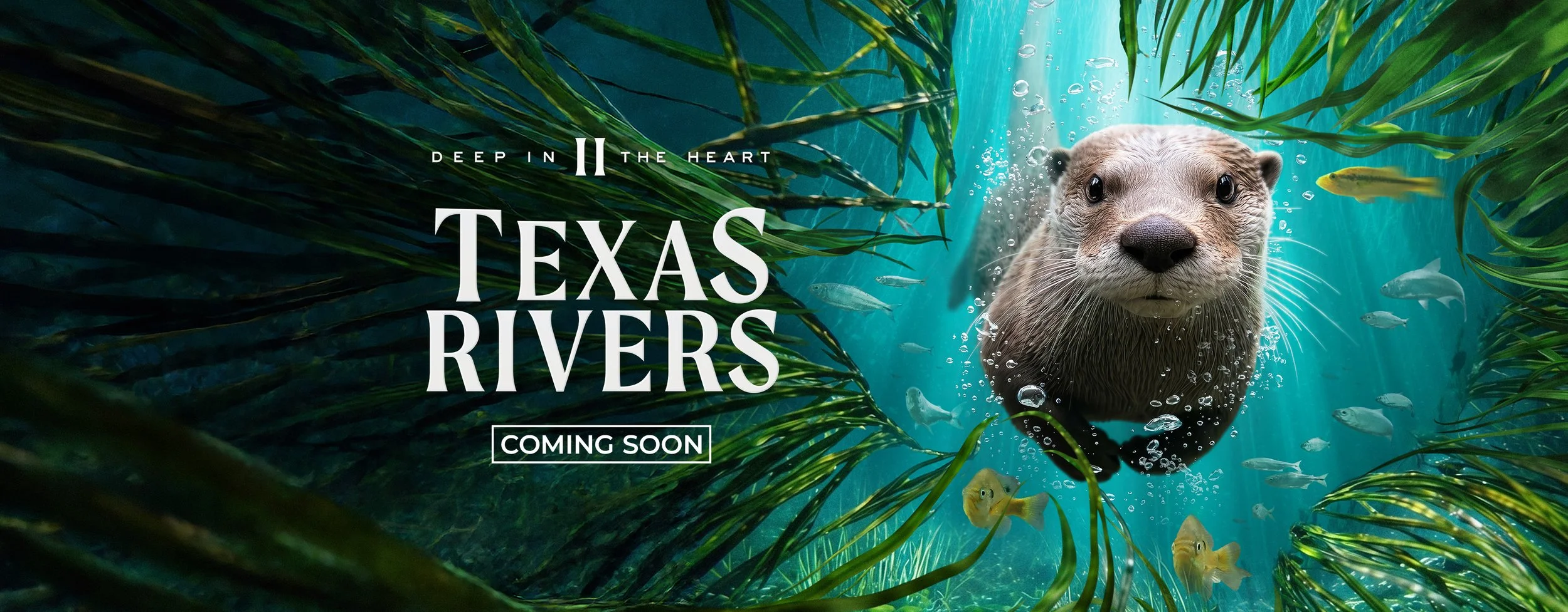 TexasRivers2.jpg