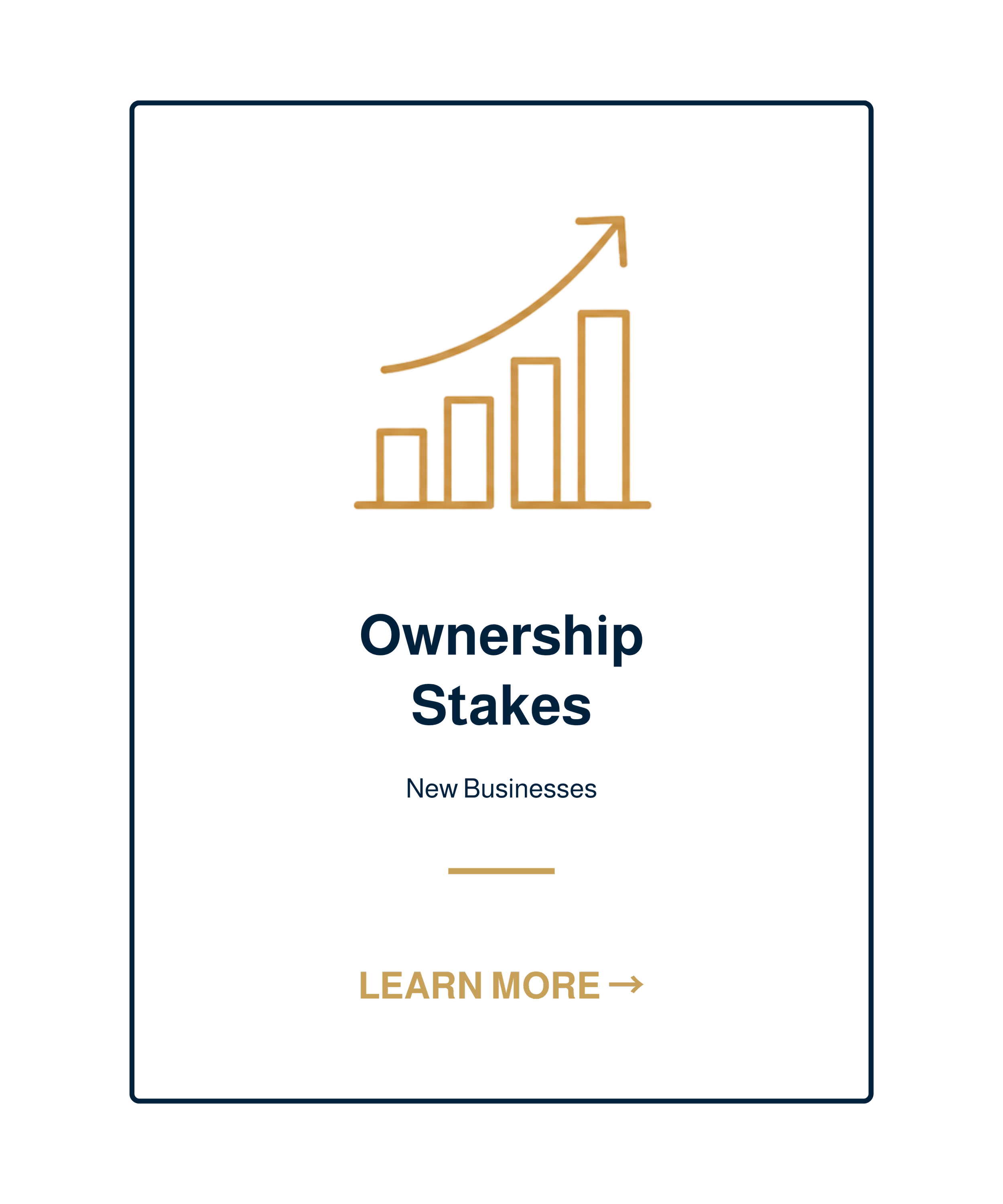 Ownership Stakes - New Businesses