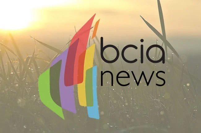 Logo of �鶹ԭ�� News with colorful shapes and wind turbines in the background at sunset.