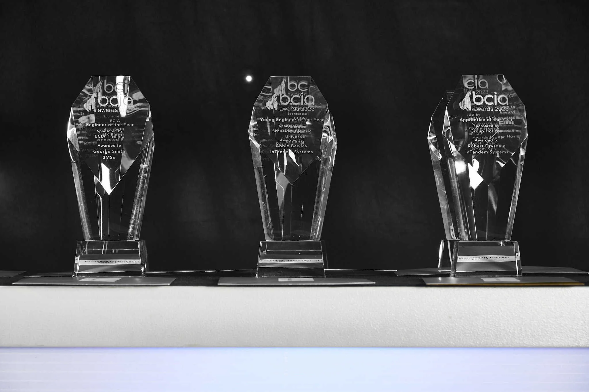 Award winners in focus: Apprentice of the Year