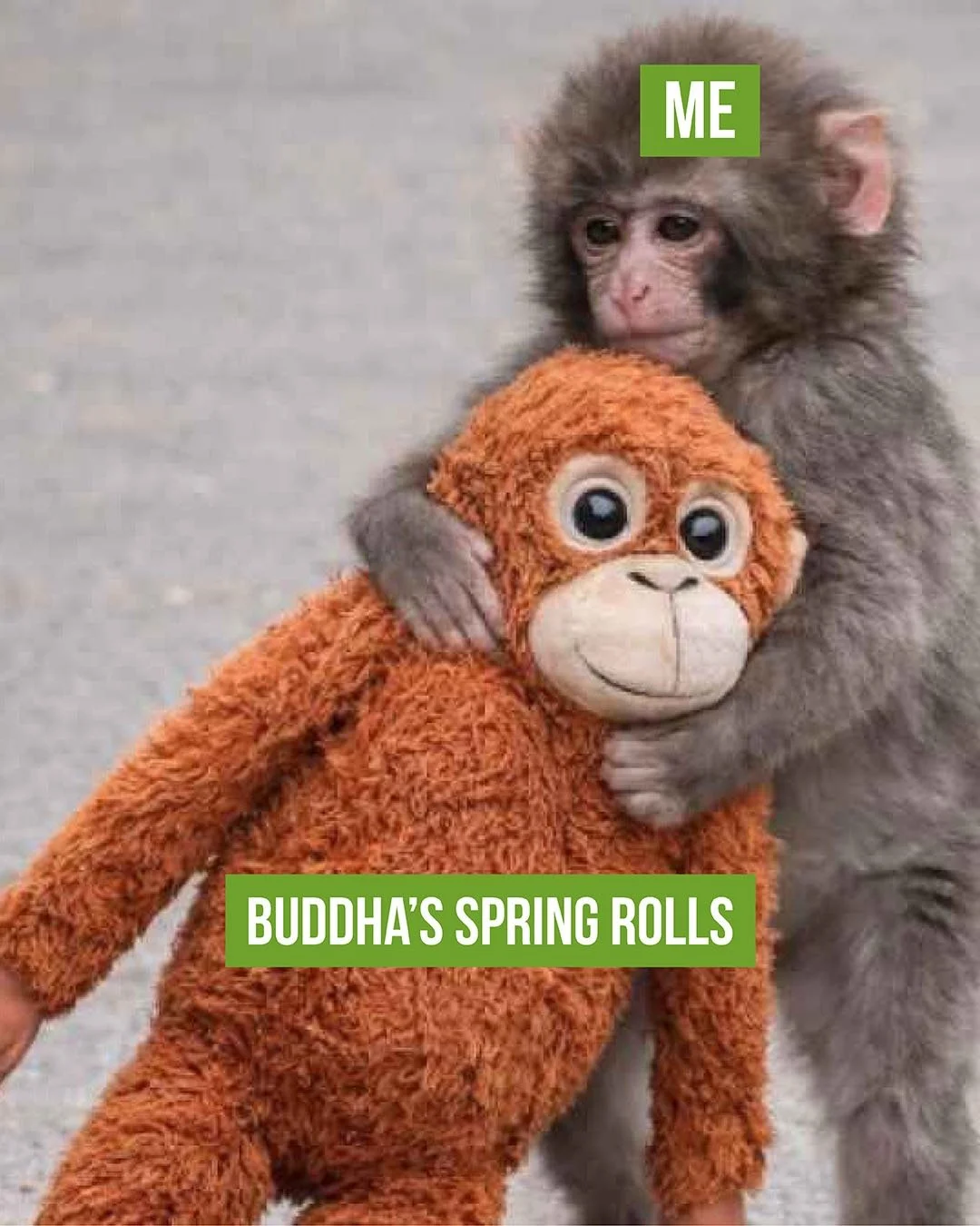 We understand, Punch 🐒💚🥹

#buddhabowlsandrolls #ilikethewayyouroll #punchthemonkey #sacramentoeats #sacfoodie