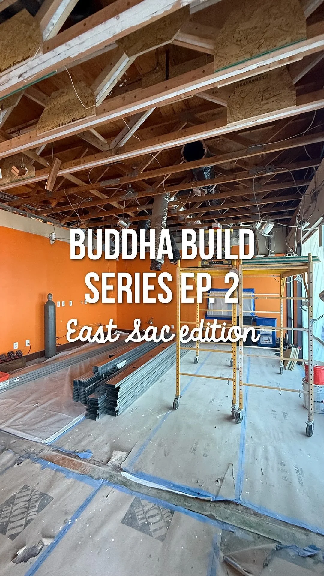 Buddha Bowls and Rolls