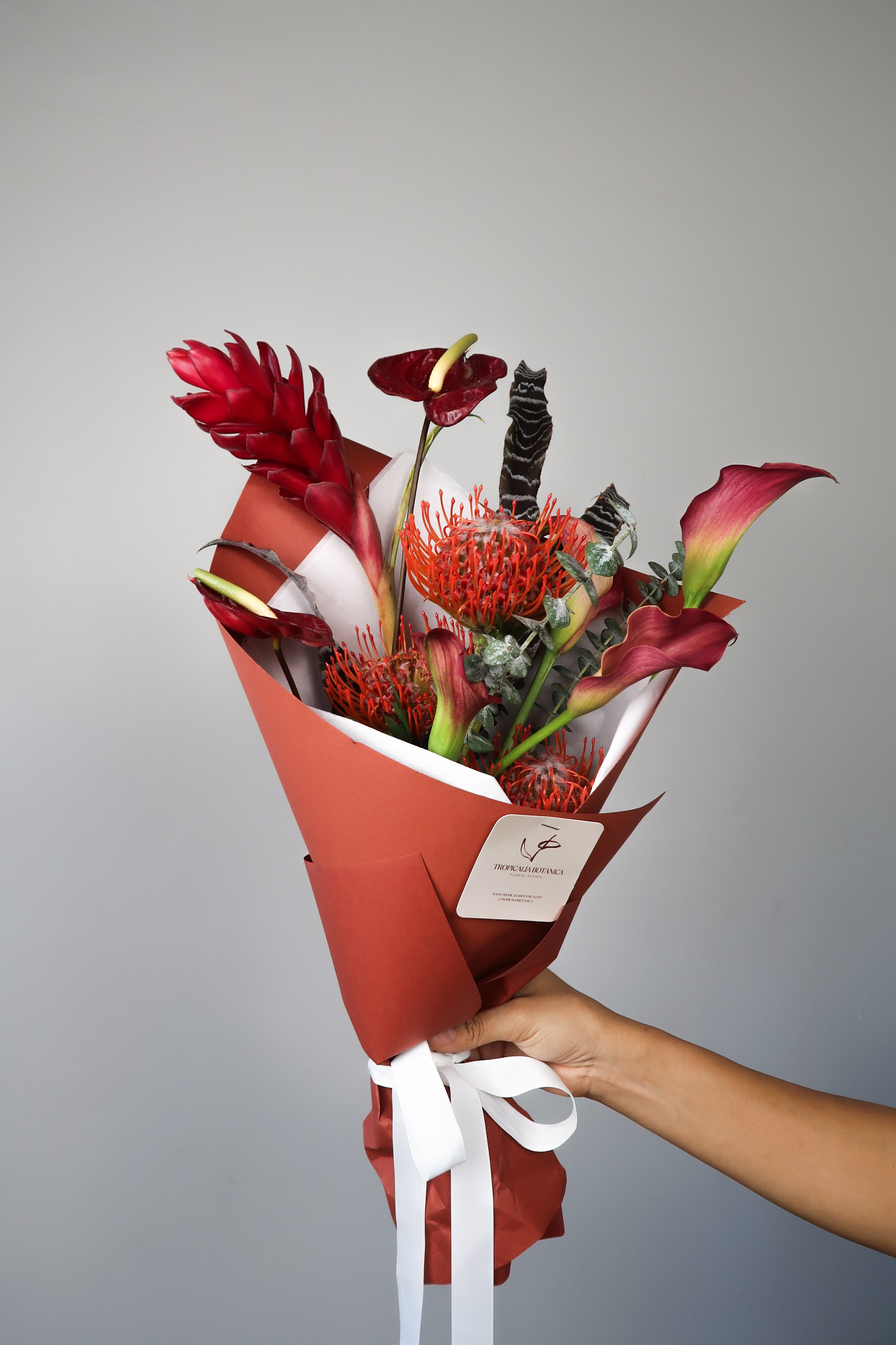 Tropicalía Signature