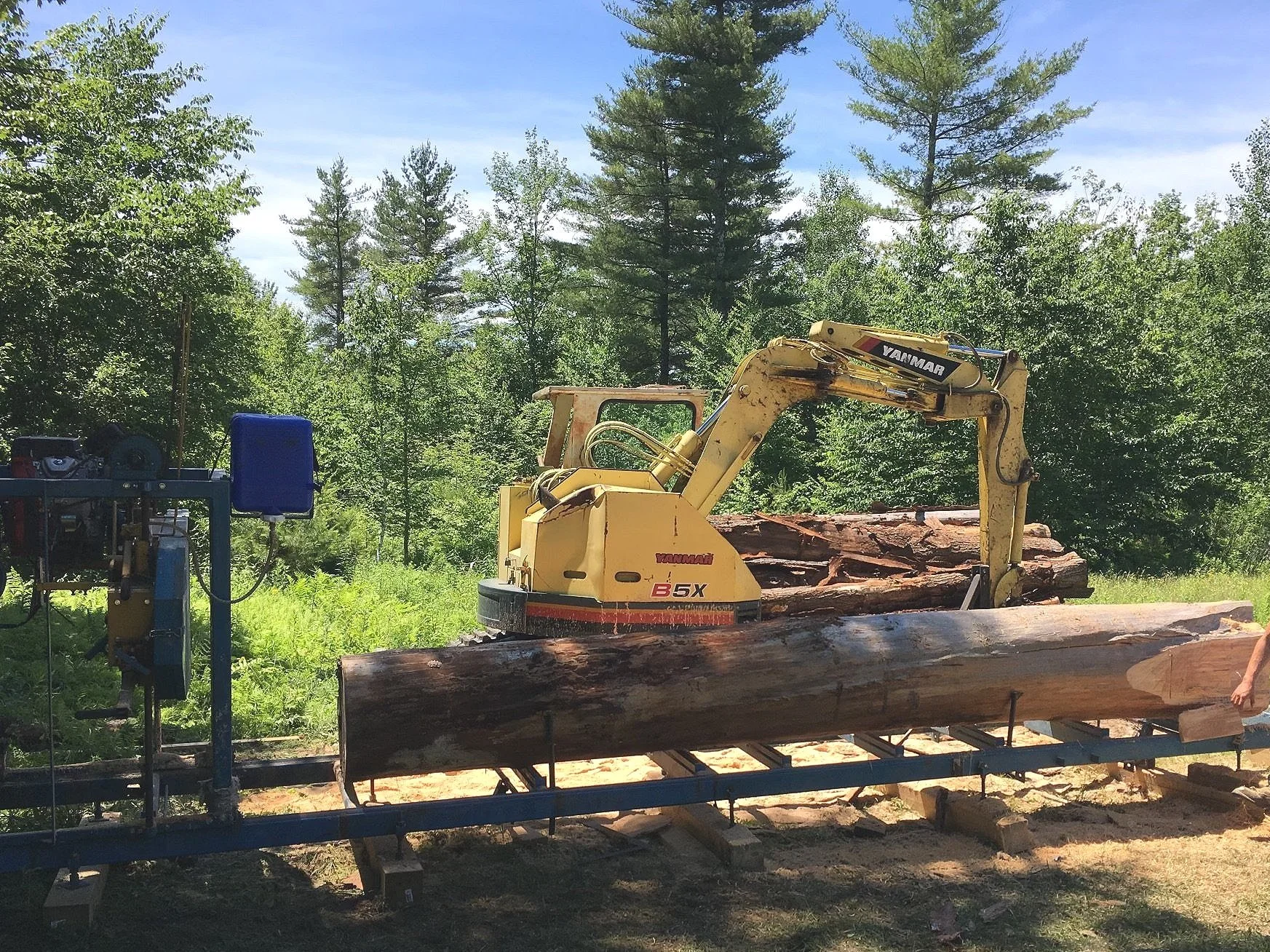 A yellow log splitter working on a large fallen tree trunk outdoors with a forest background.