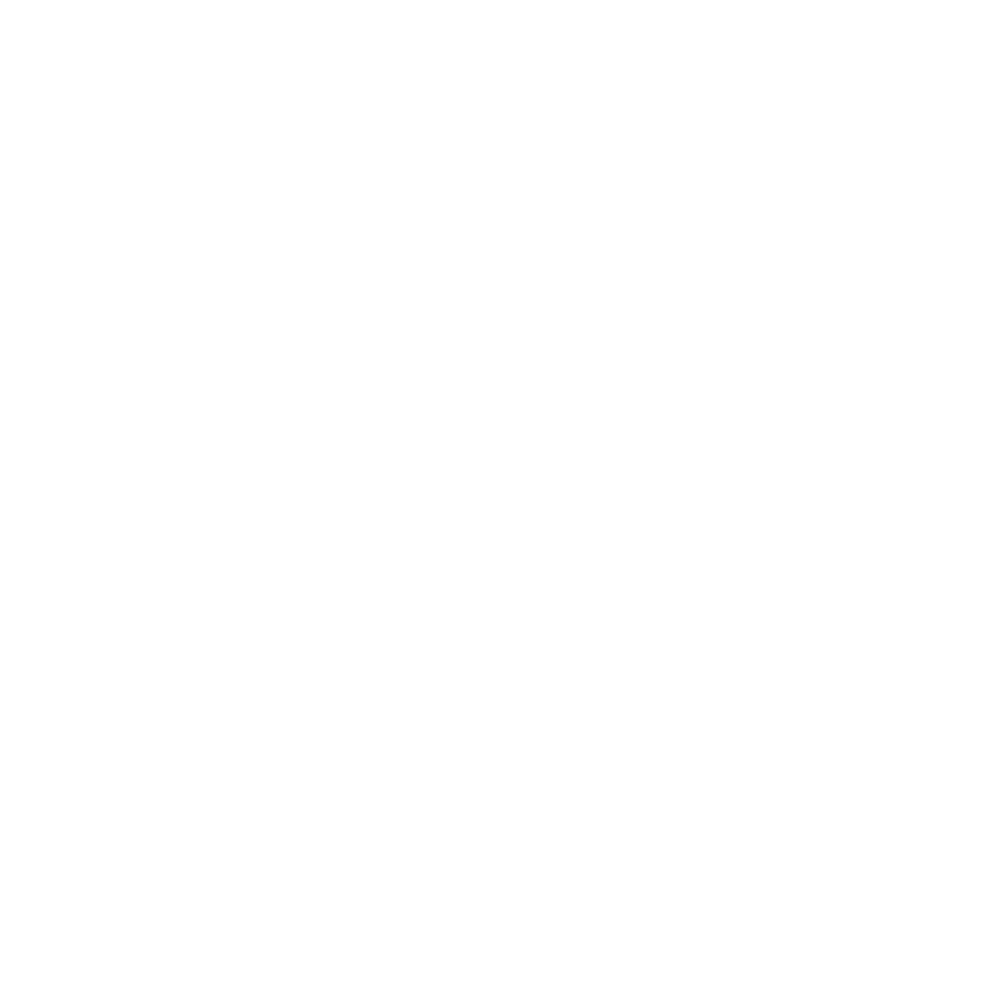 Fox Brush Films Nebraska wedding photographer and videographer logo white transparent background