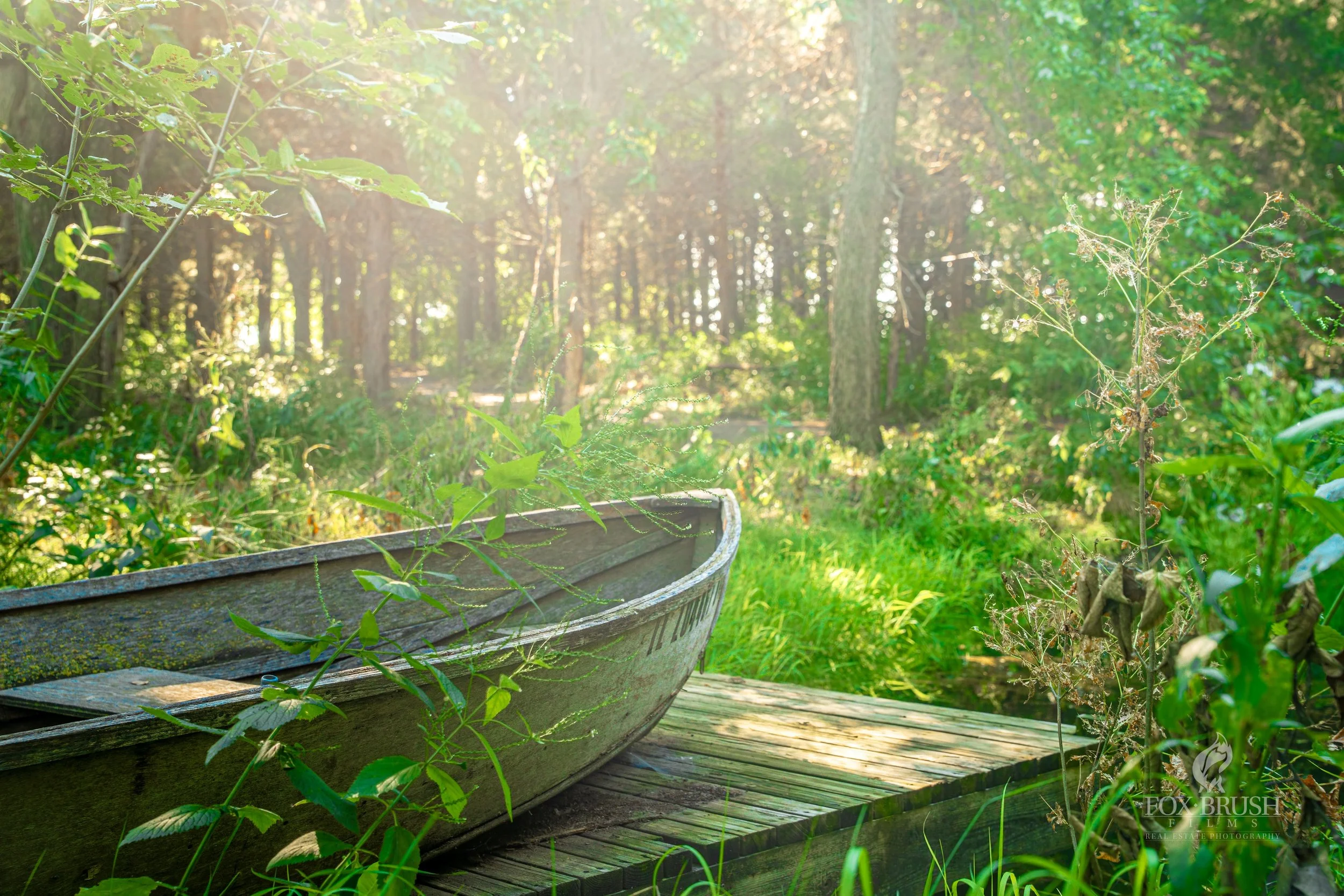 An old wooden boat resting on a small wooden platform amidst green foliage and tall trees in a sunlit forest.